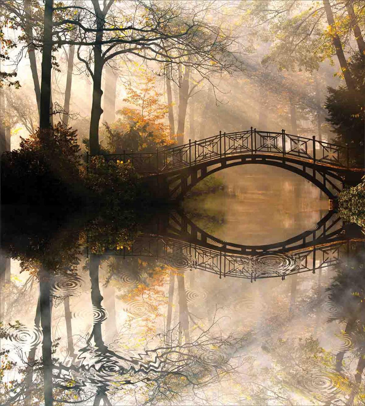 Bridge River Forest — Pattern