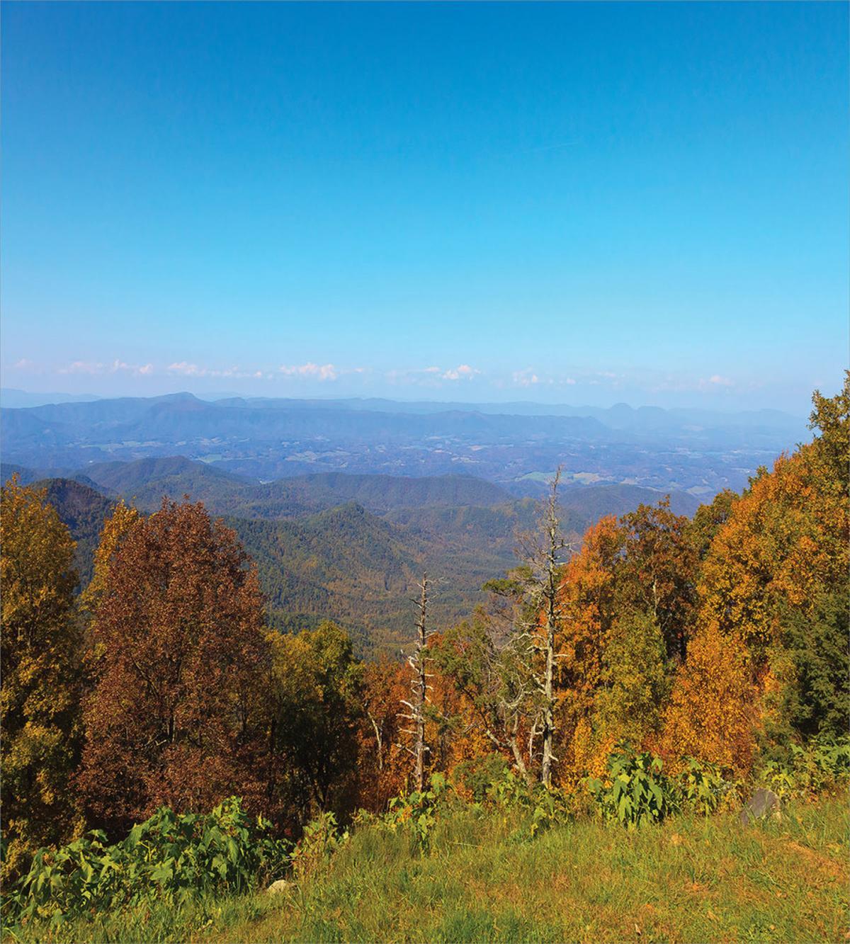 Fall Virginia Mountains — Pattern