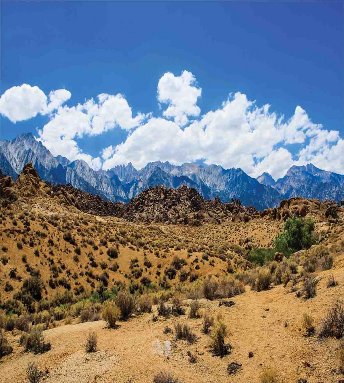 Barren Lands Landscape — Pattern