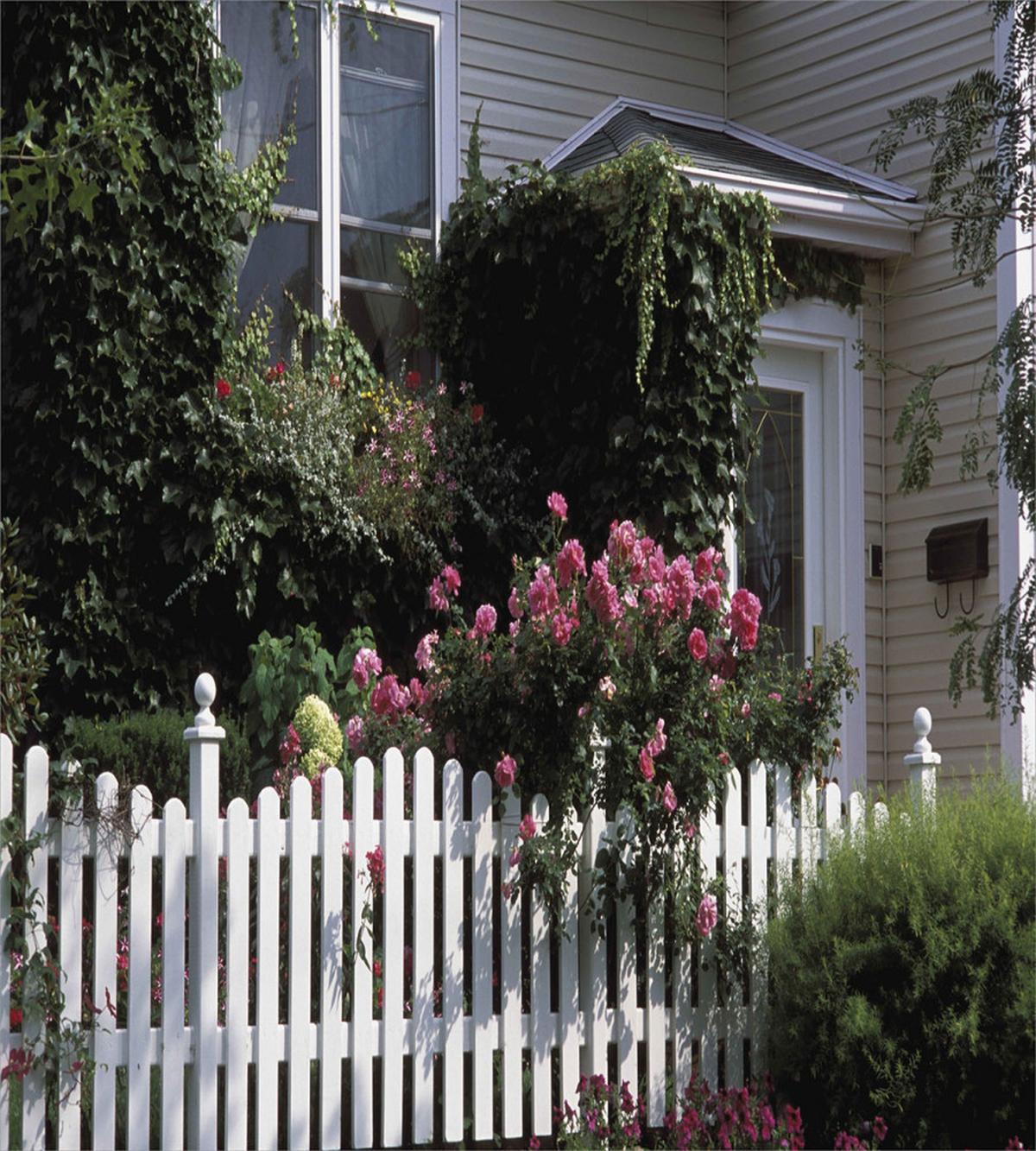 Floral Cozy House Garden Art — Pattern