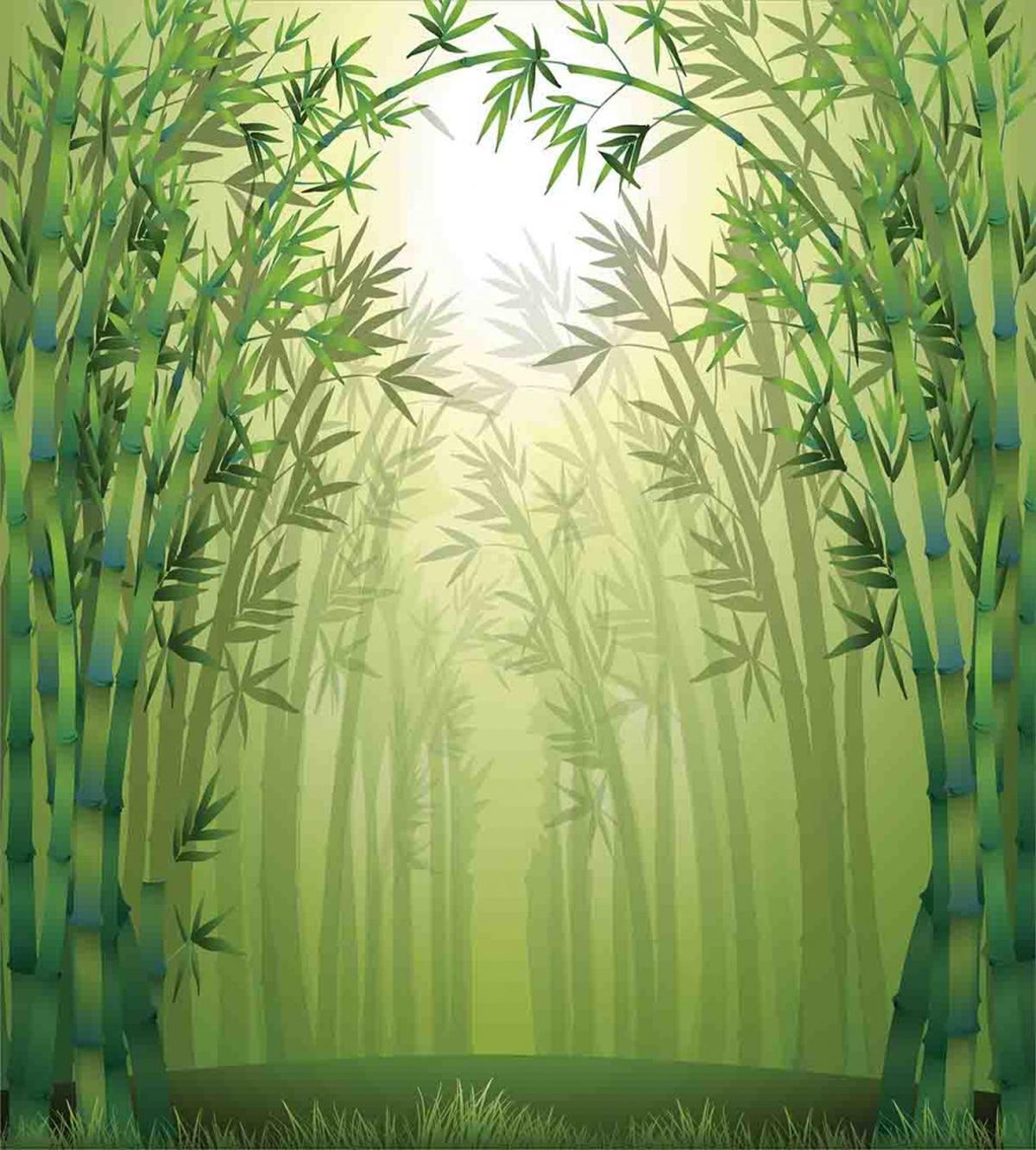 Bamboo Trees in Forest — Pattern