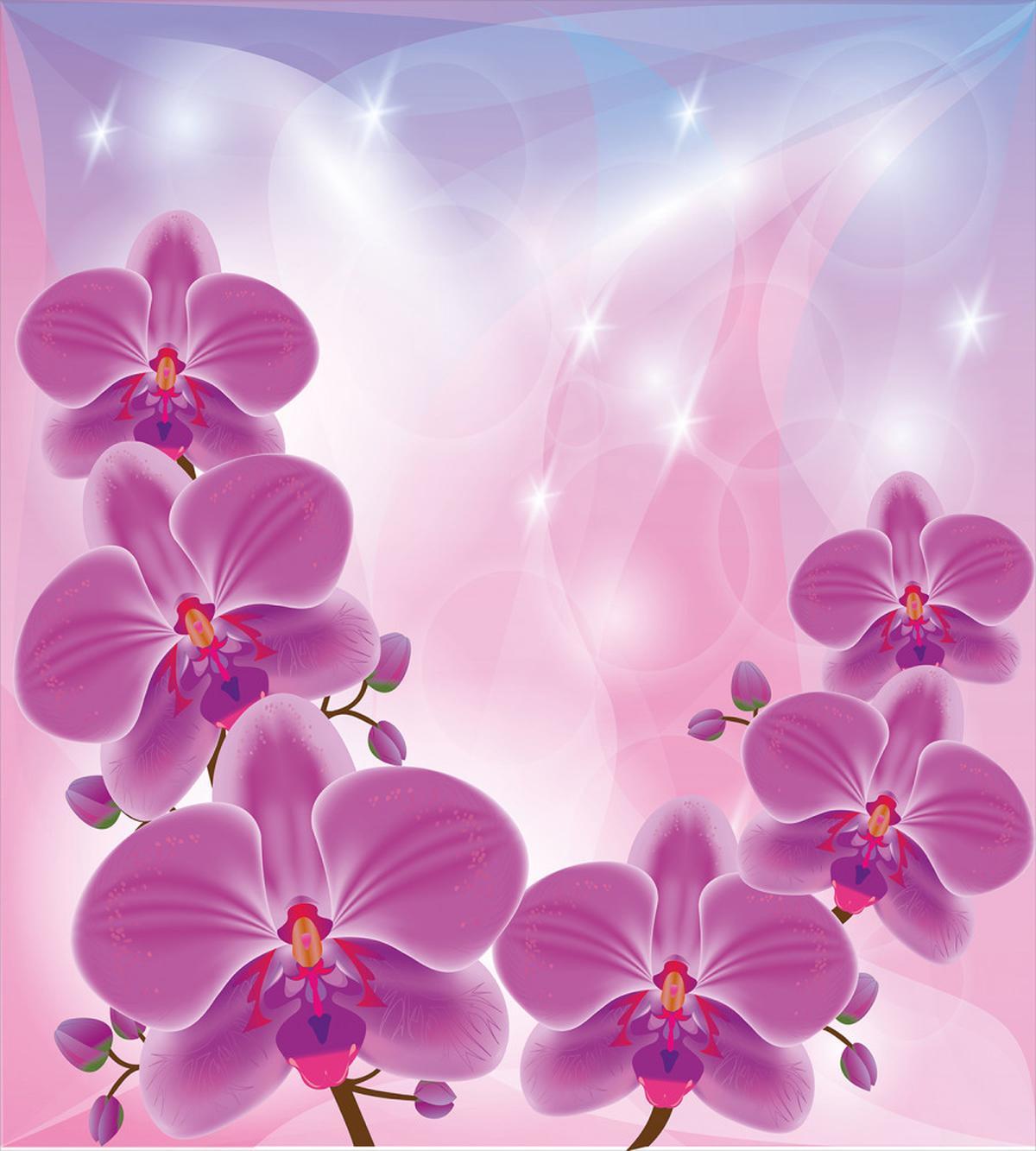 Exotic Orchid Flowers — Pattern