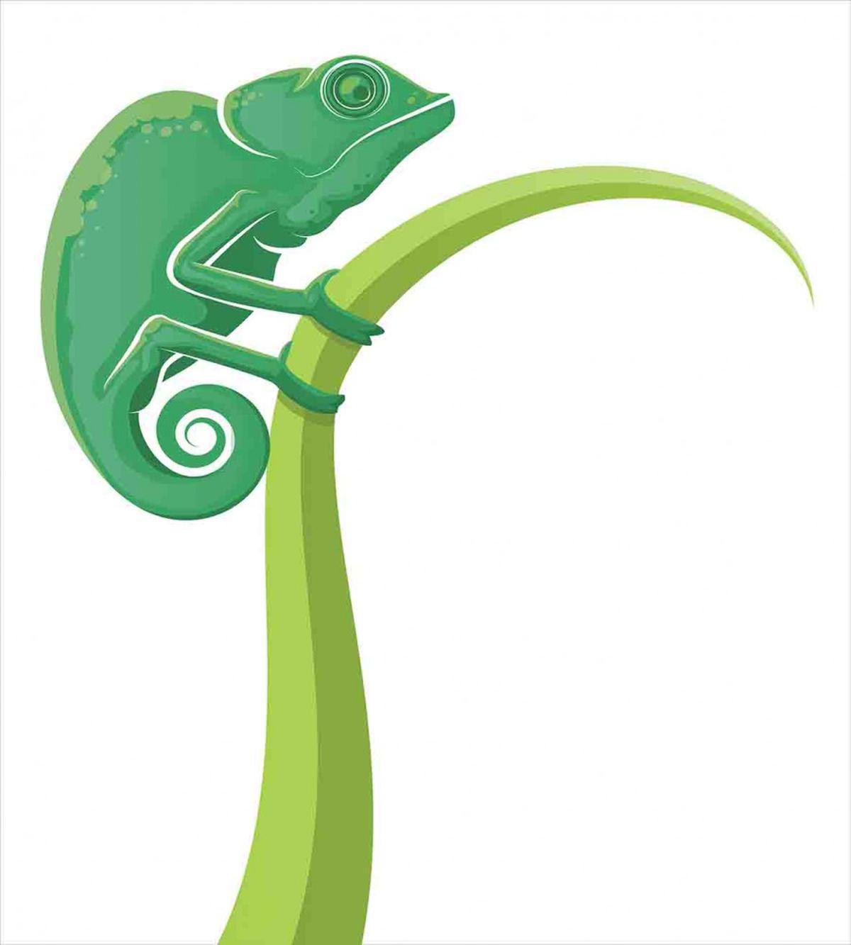 Exotic Grumpy Lizard — Pattern
