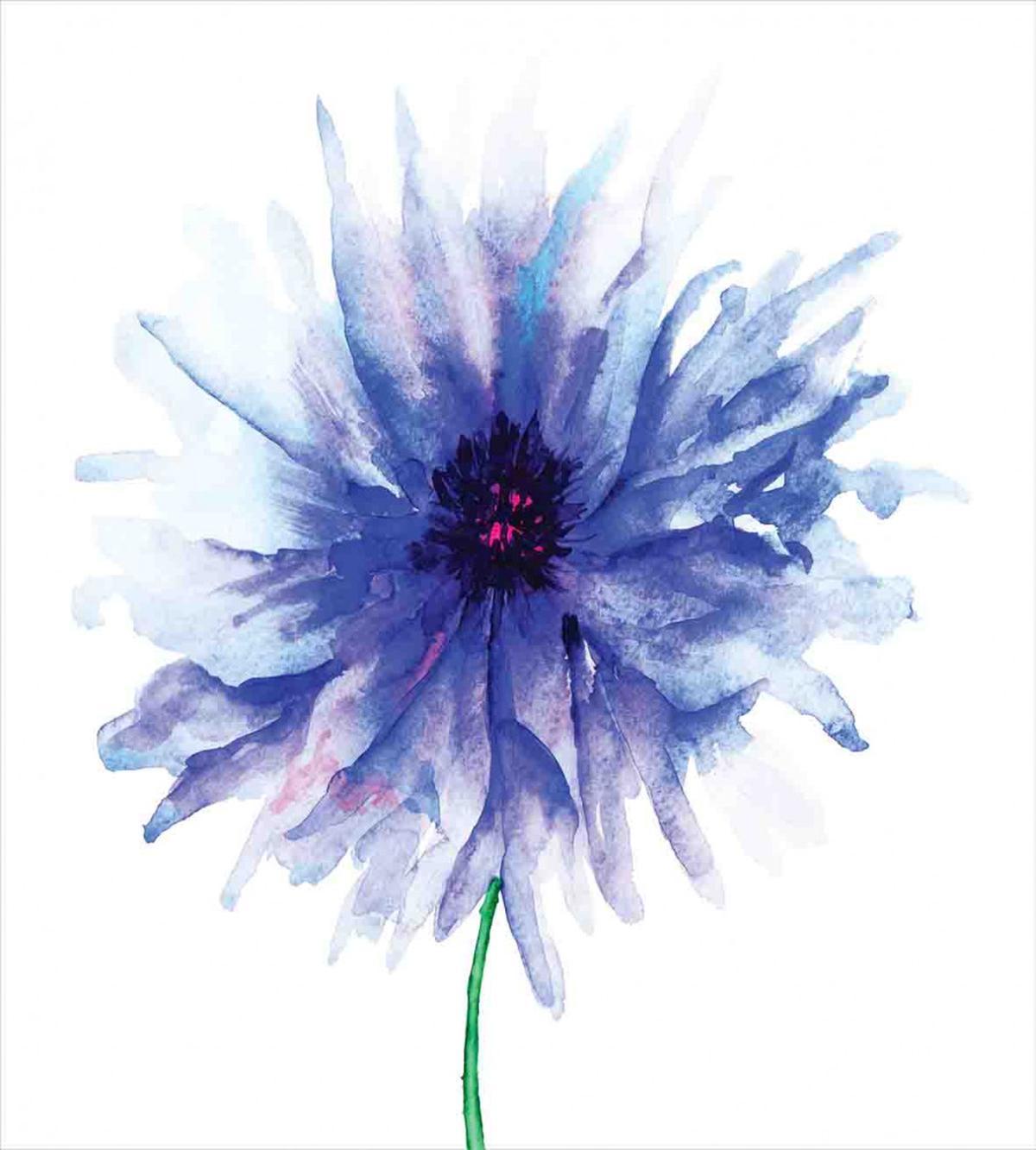 Earth Cornflower — Pattern