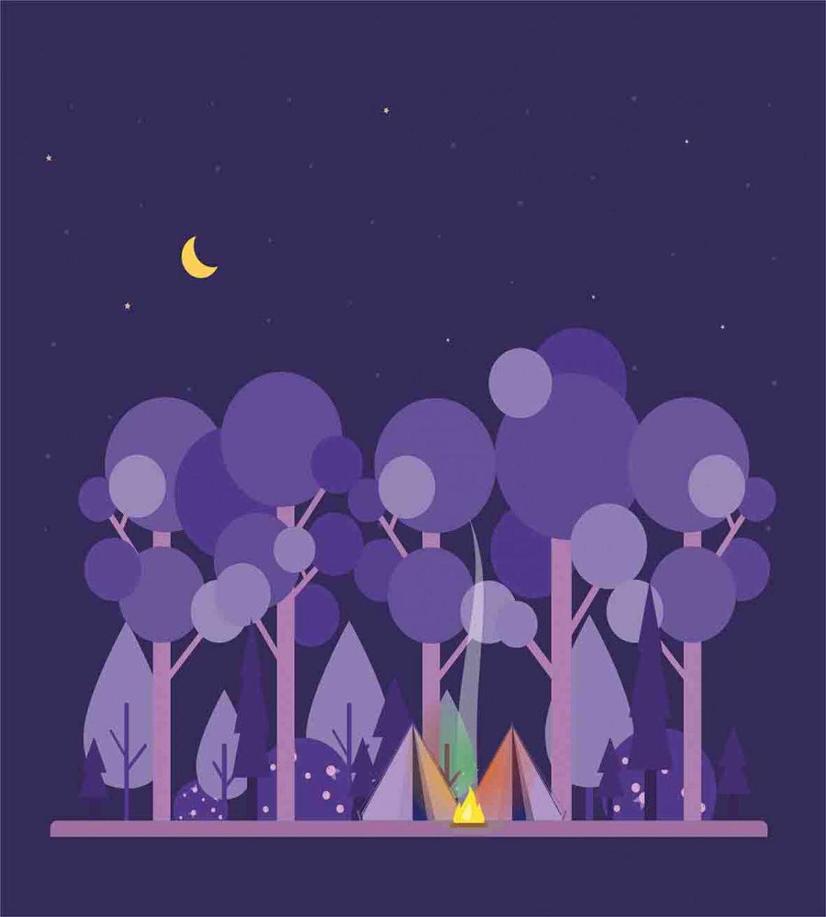 Night at Campsite Scene — Pattern