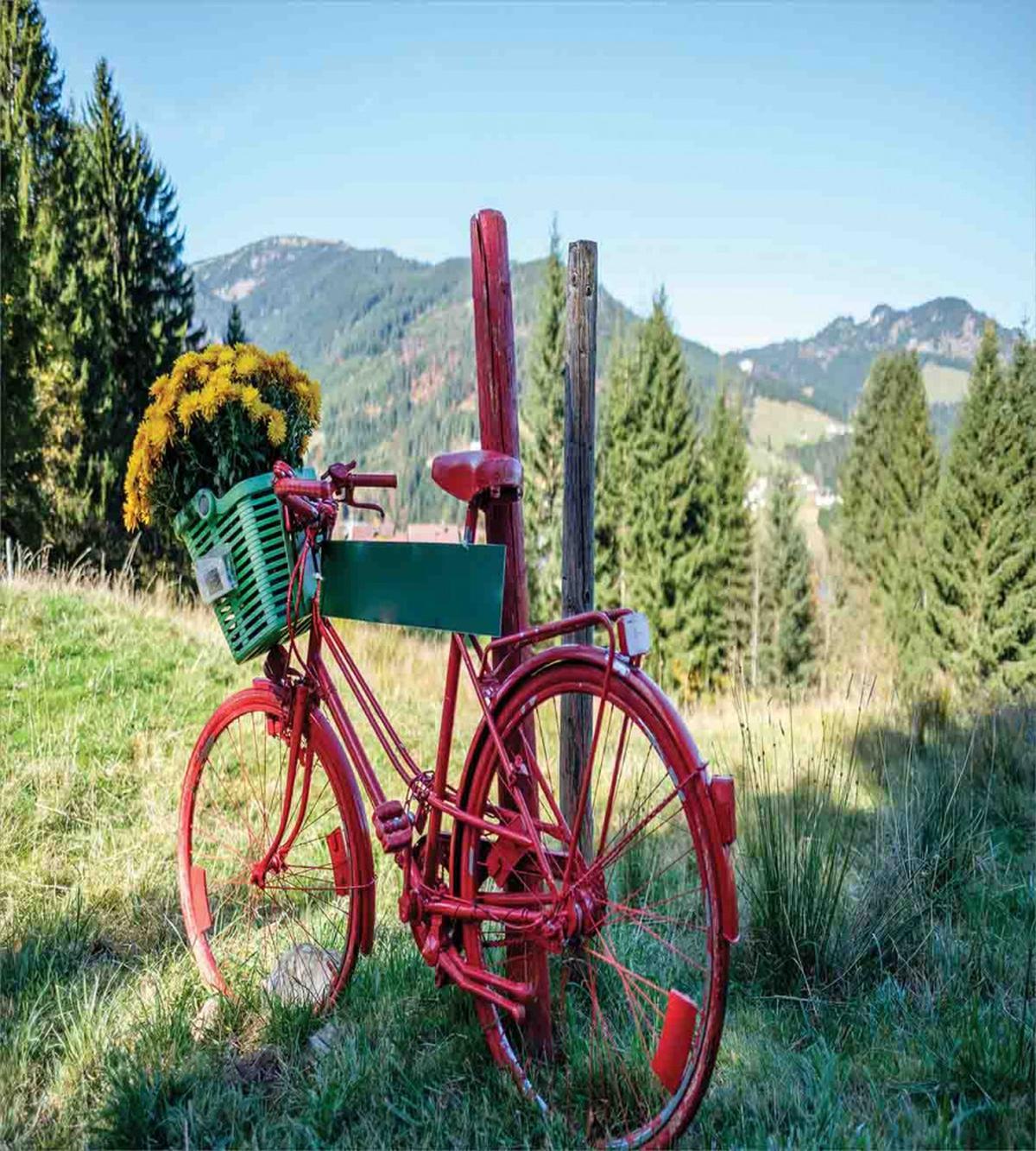 Mountain Landscape and Bike — Pattern