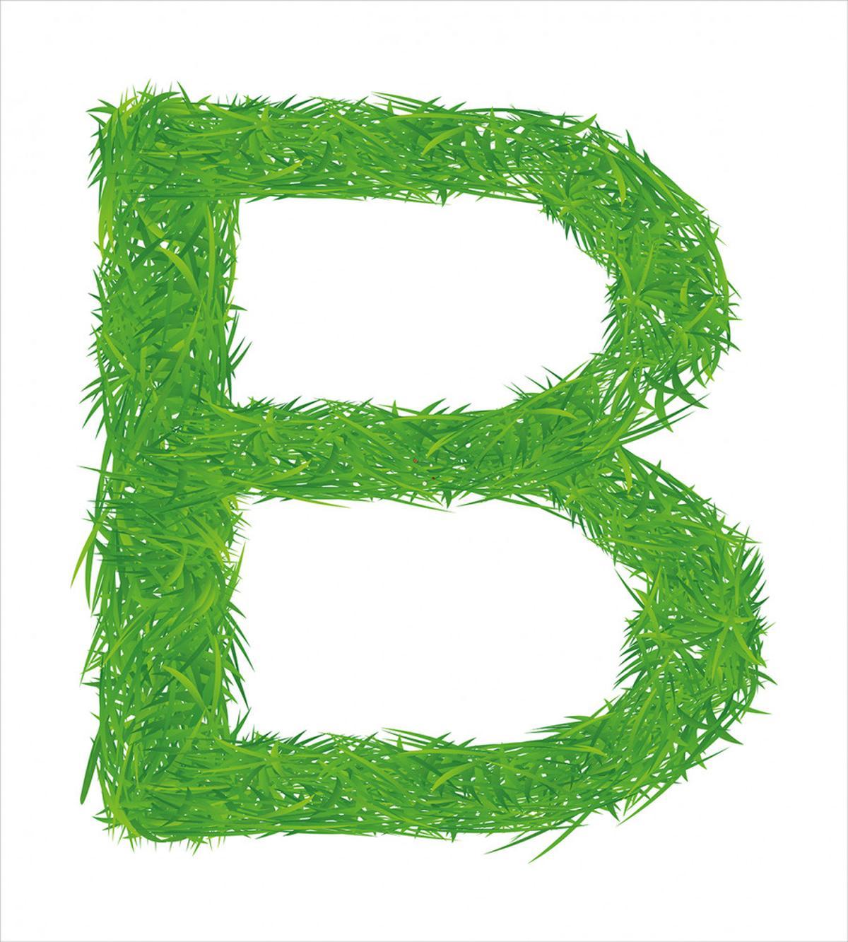 Kids Boys Capital Eco — Pattern