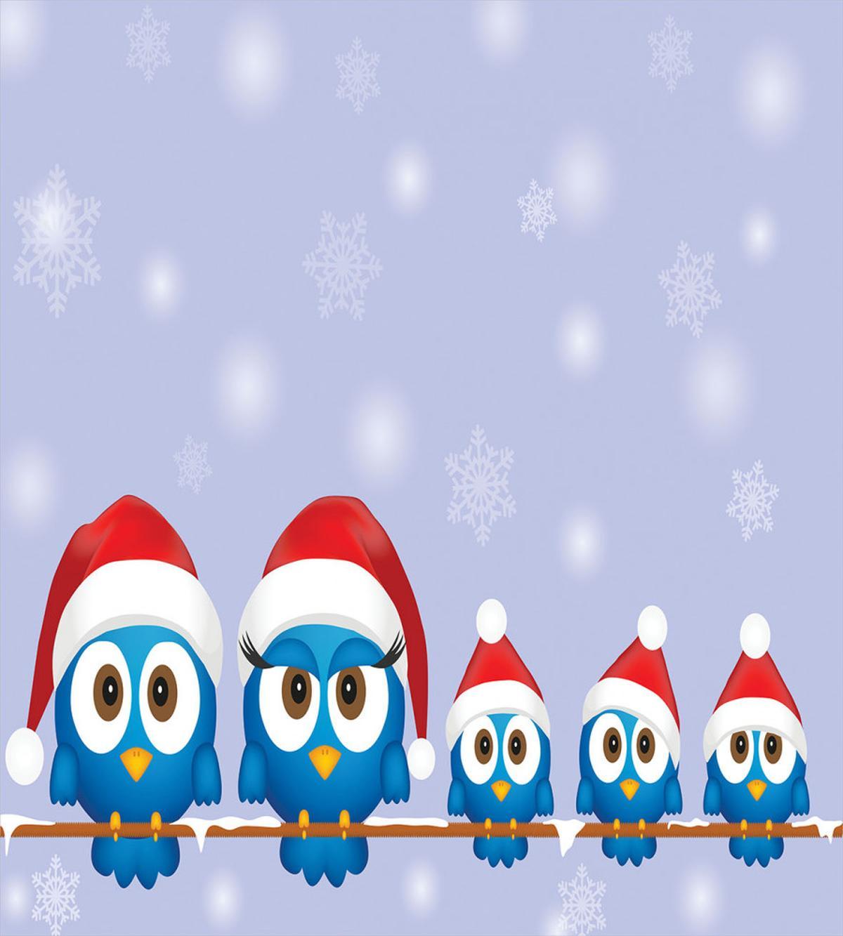 Fun Birds Santa Hats — Pattern
