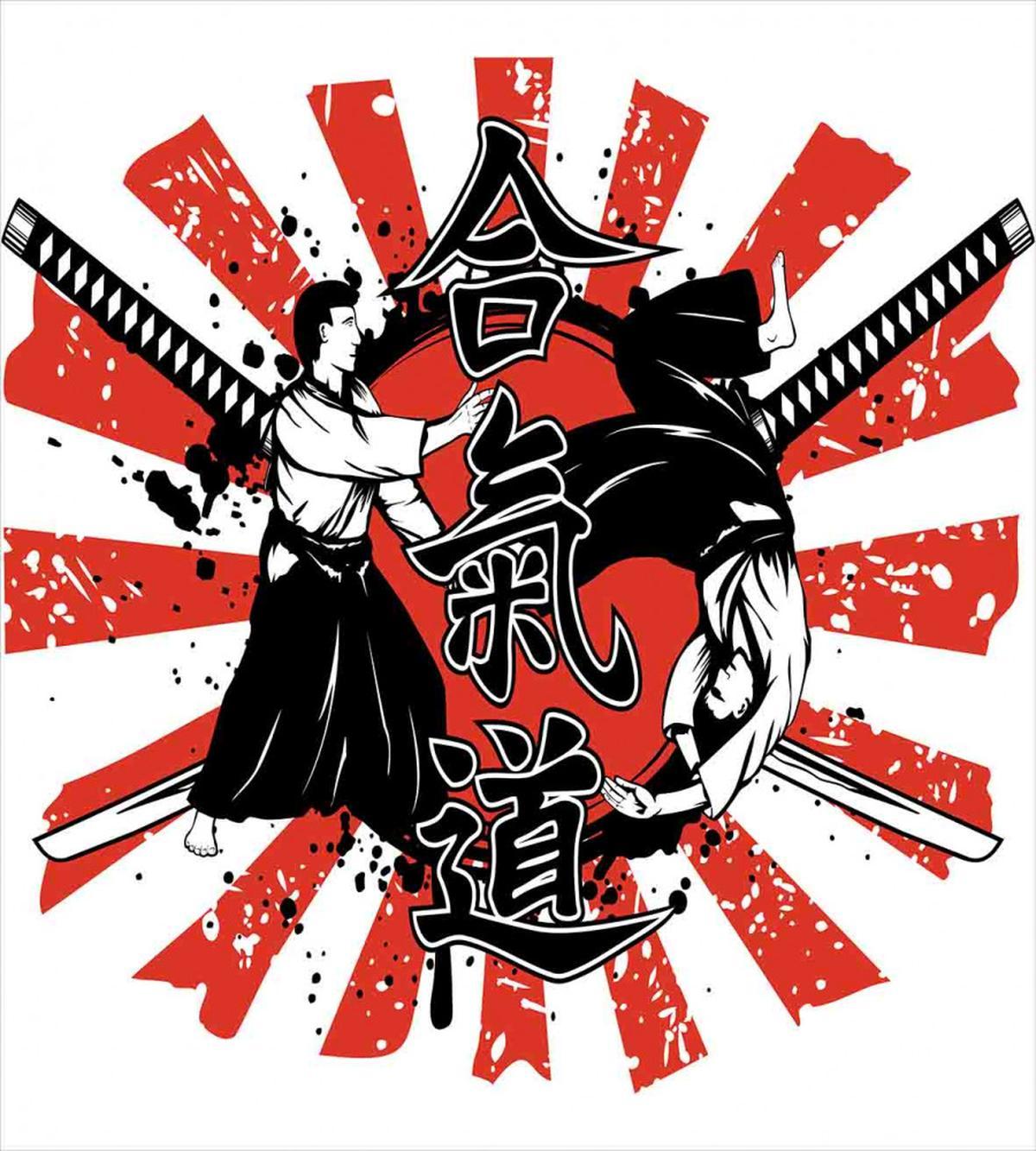 Aikido Samurai Fight — Pattern