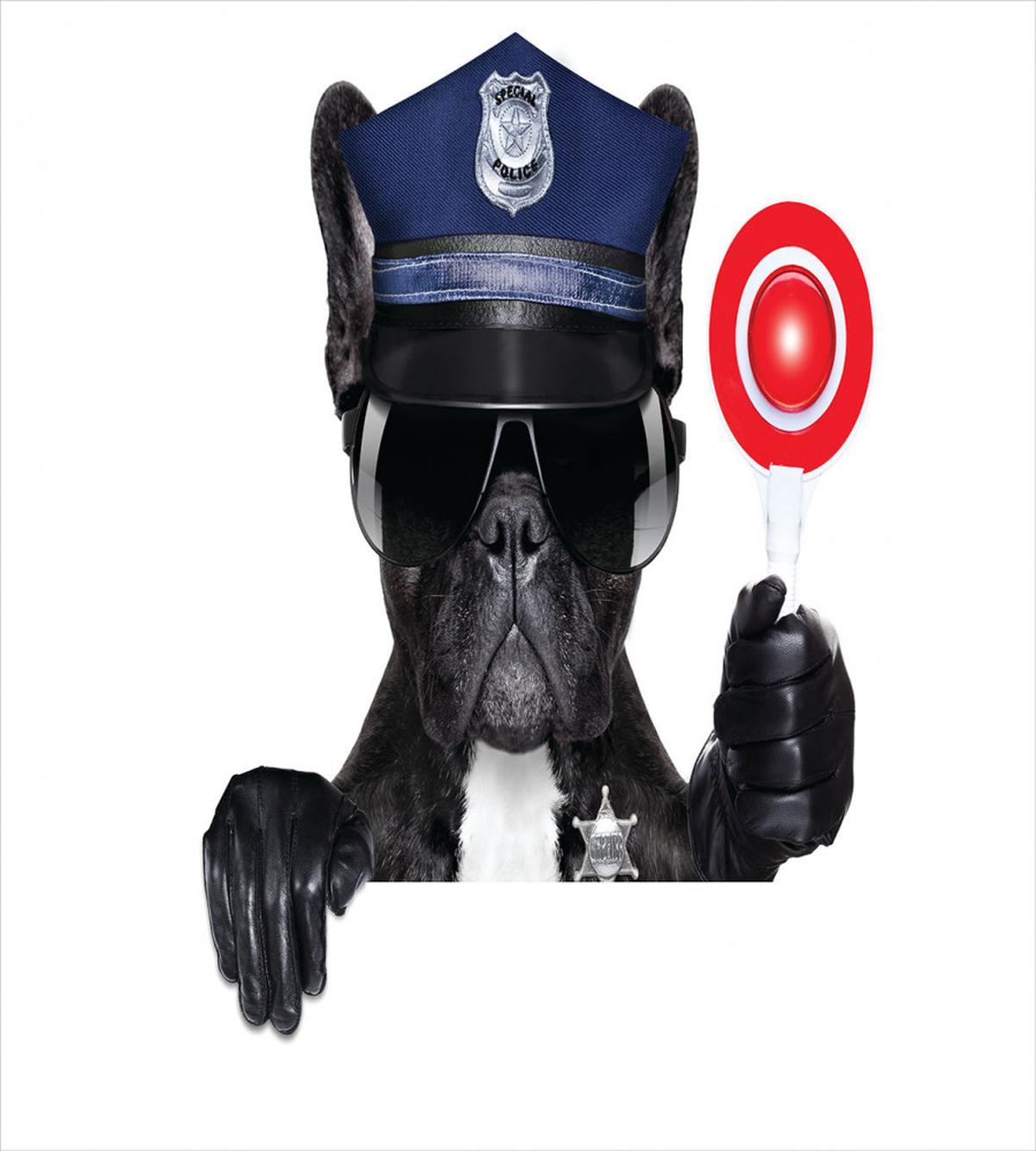 Pug Dog Police Costume — Pattern