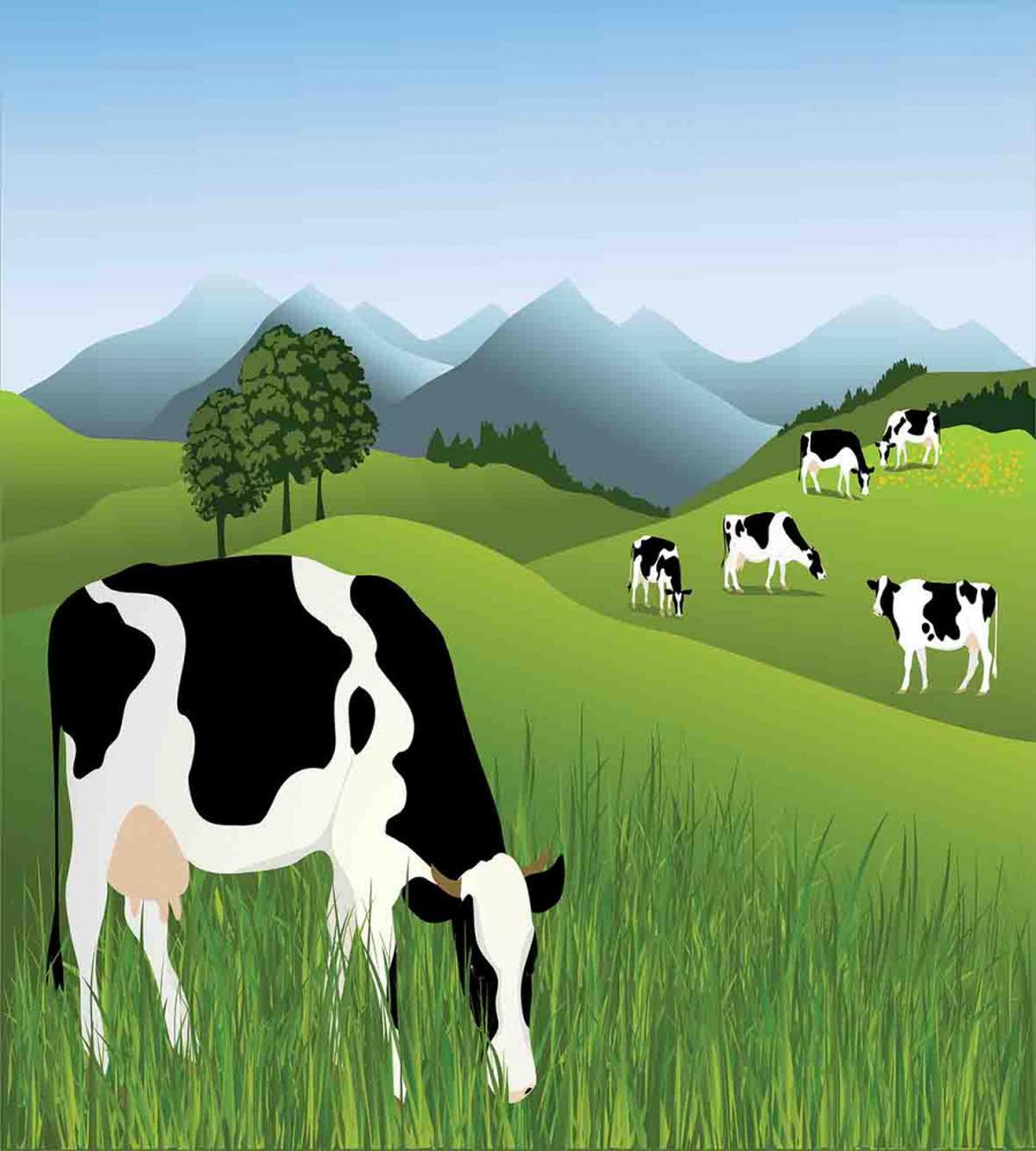 Agriculture Landscape — Pattern