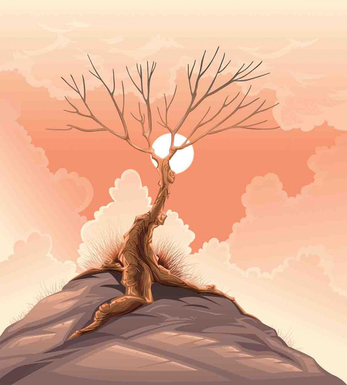 Lonely Tree on Cliff — Pattern