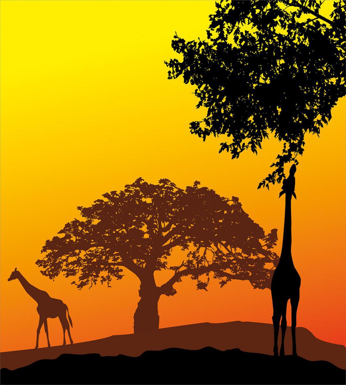 Giraffe Savannah Desert — Pattern