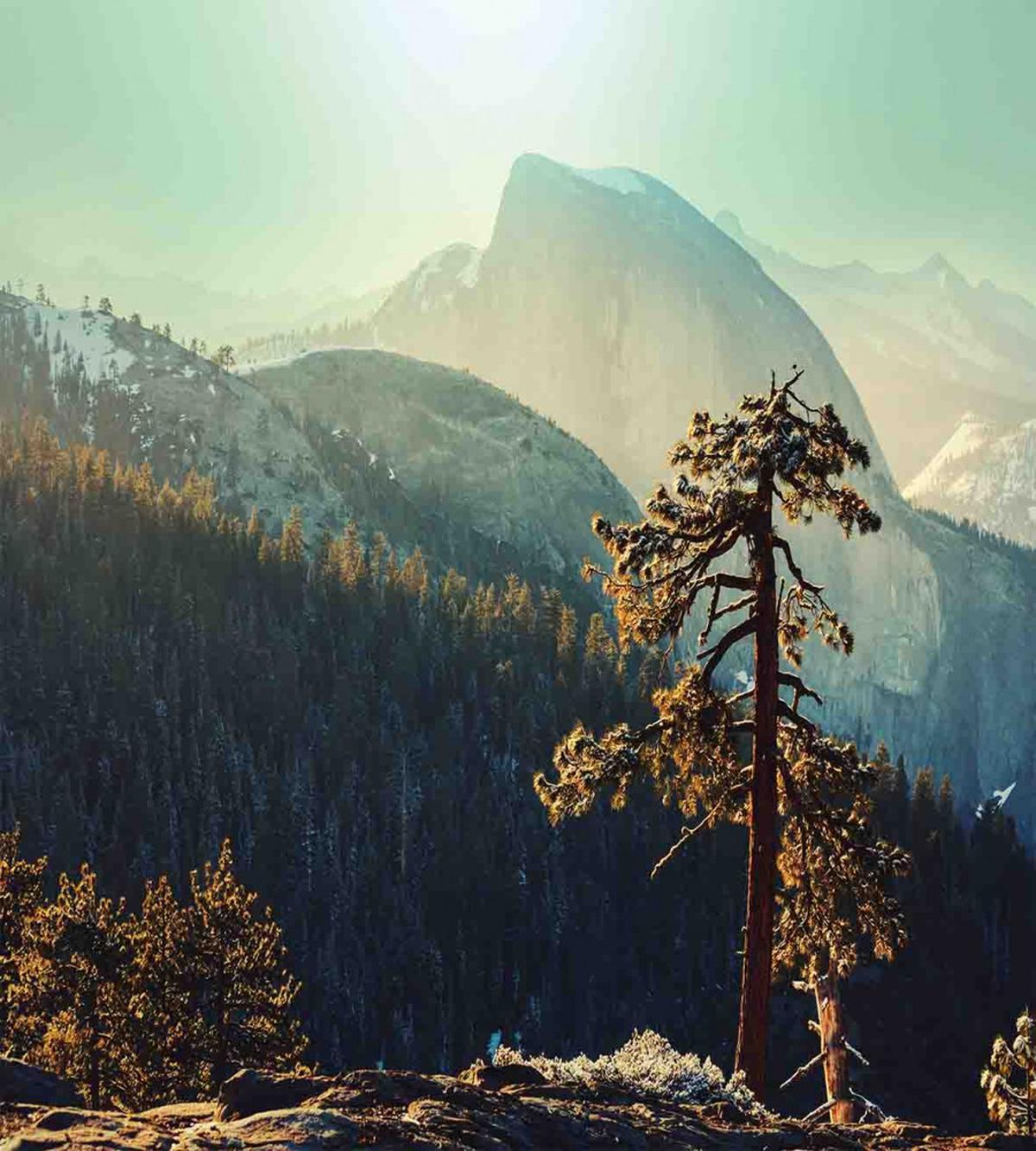 Misty Morning Yosemite — Pattern