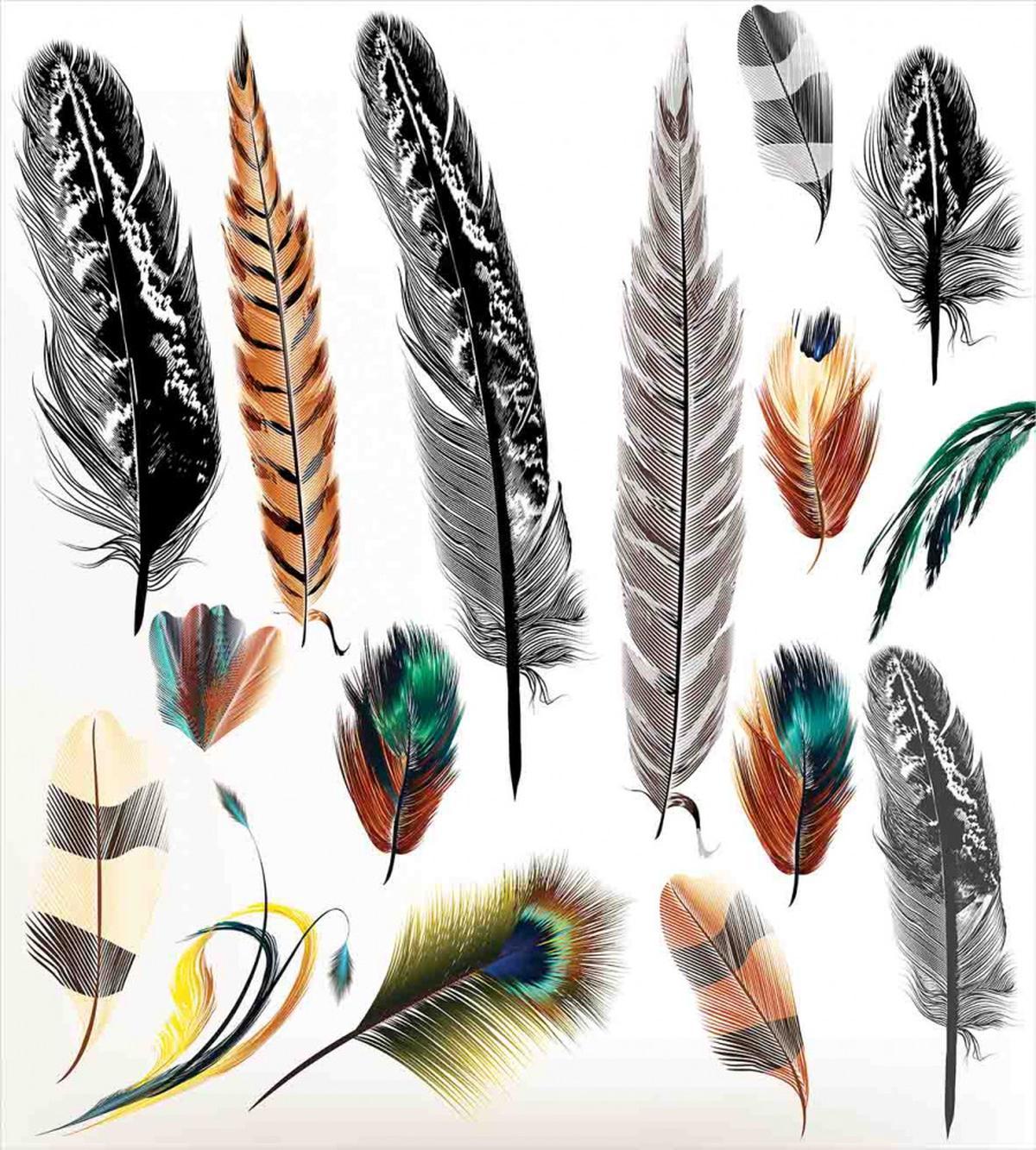Bird Feather Retro Vibrant — Pattern
