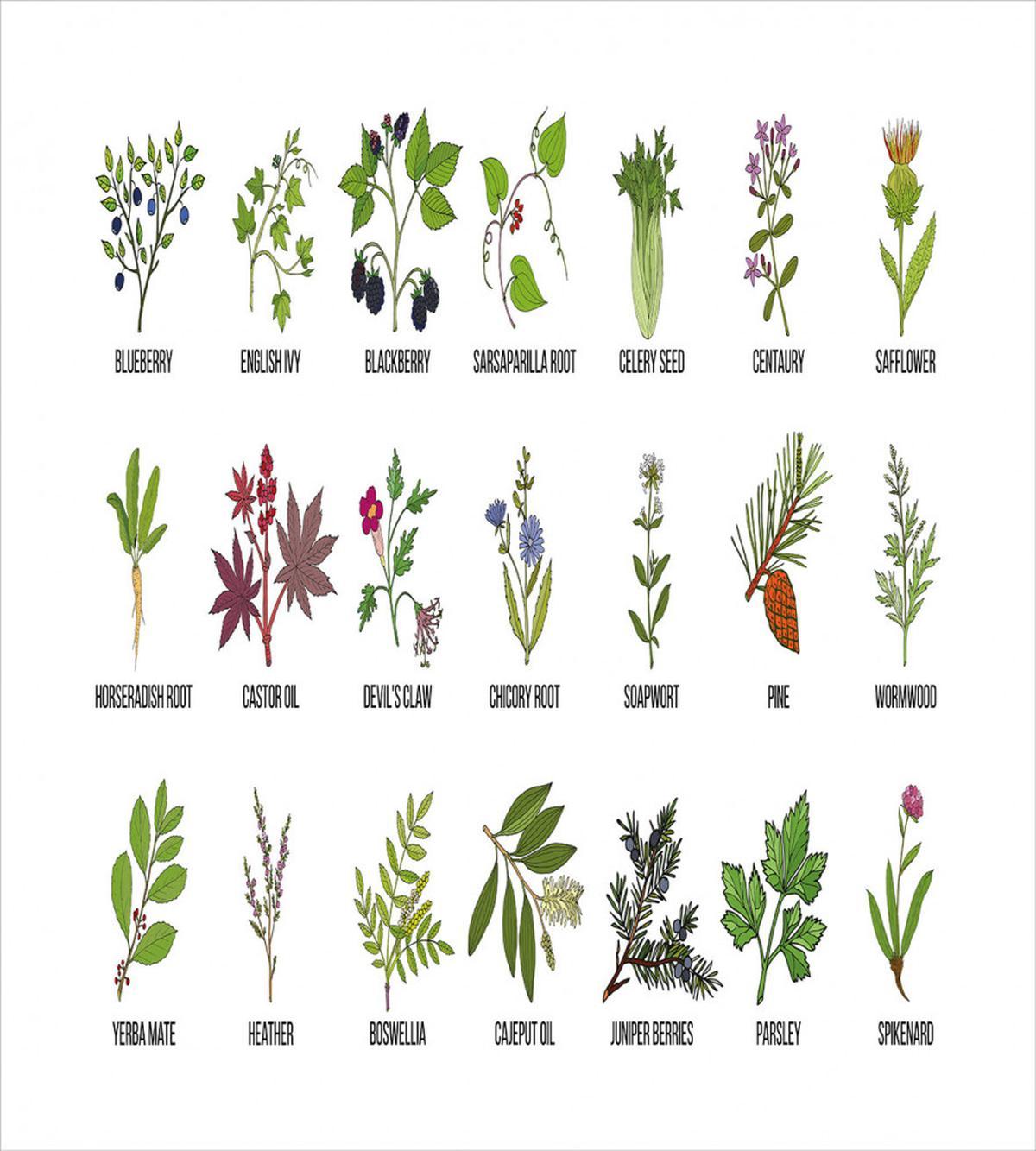 Natural Treatment Infographic — Pattern