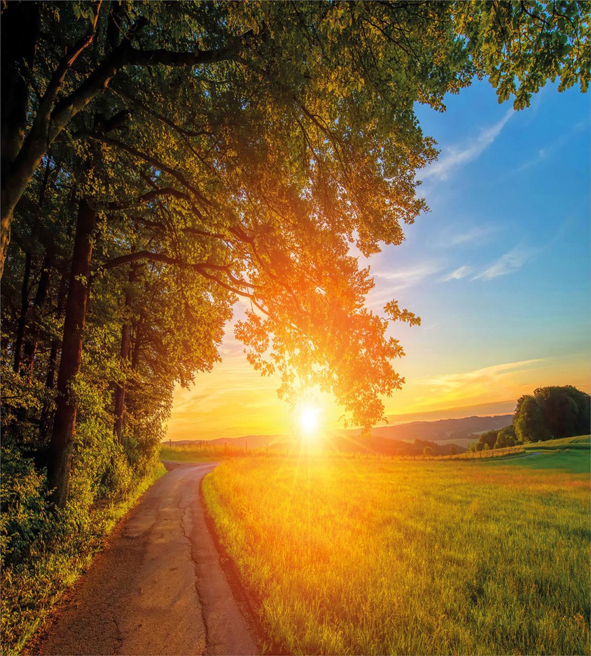 Tranquil Path at Sunset — Pattern