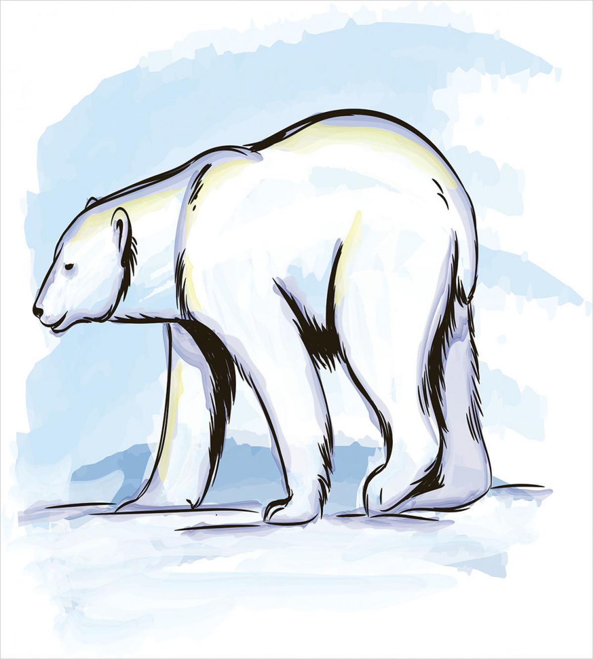 Pencil Sketch Polar Bear — Pattern