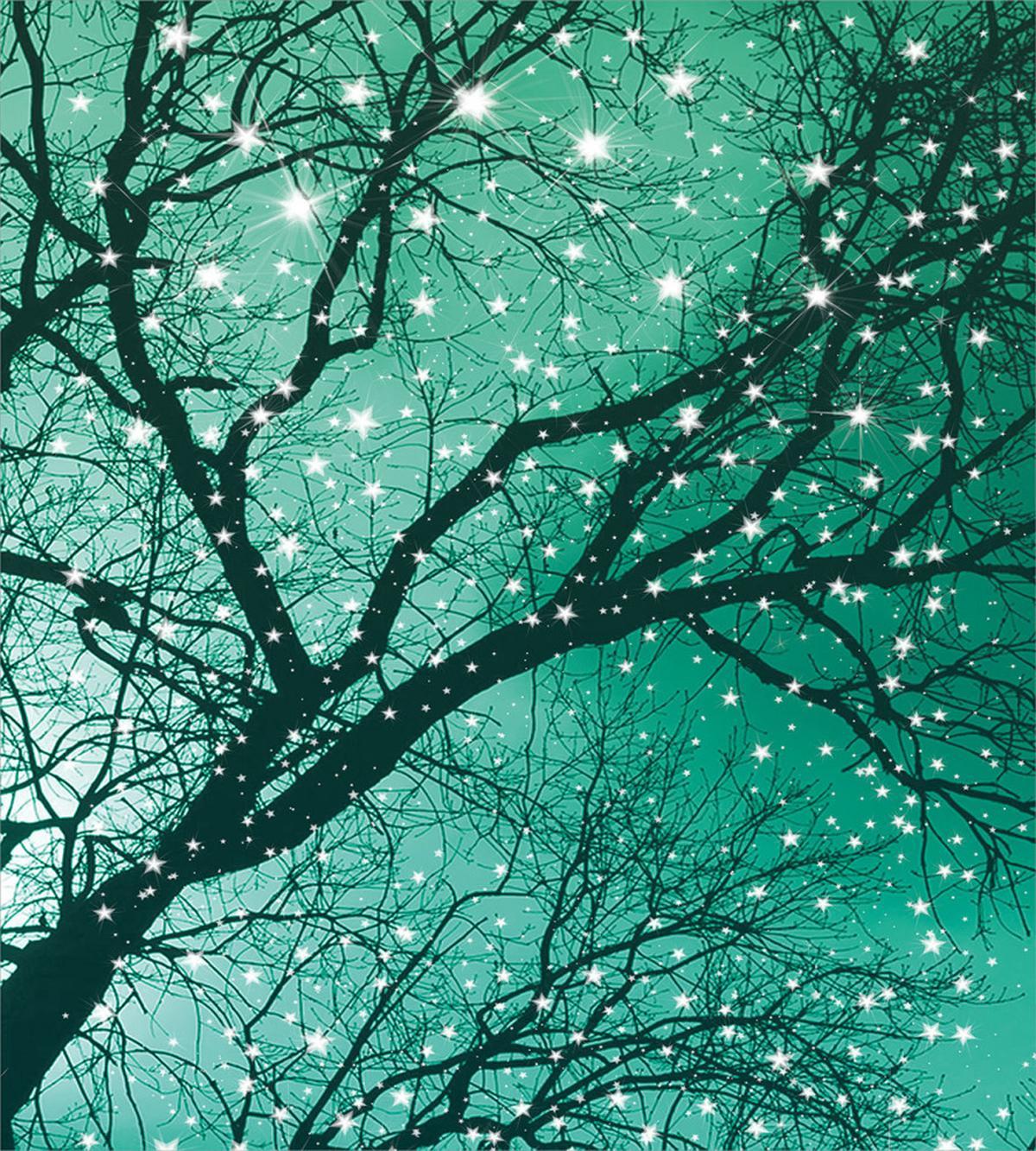Stars Bare Branches — Pattern