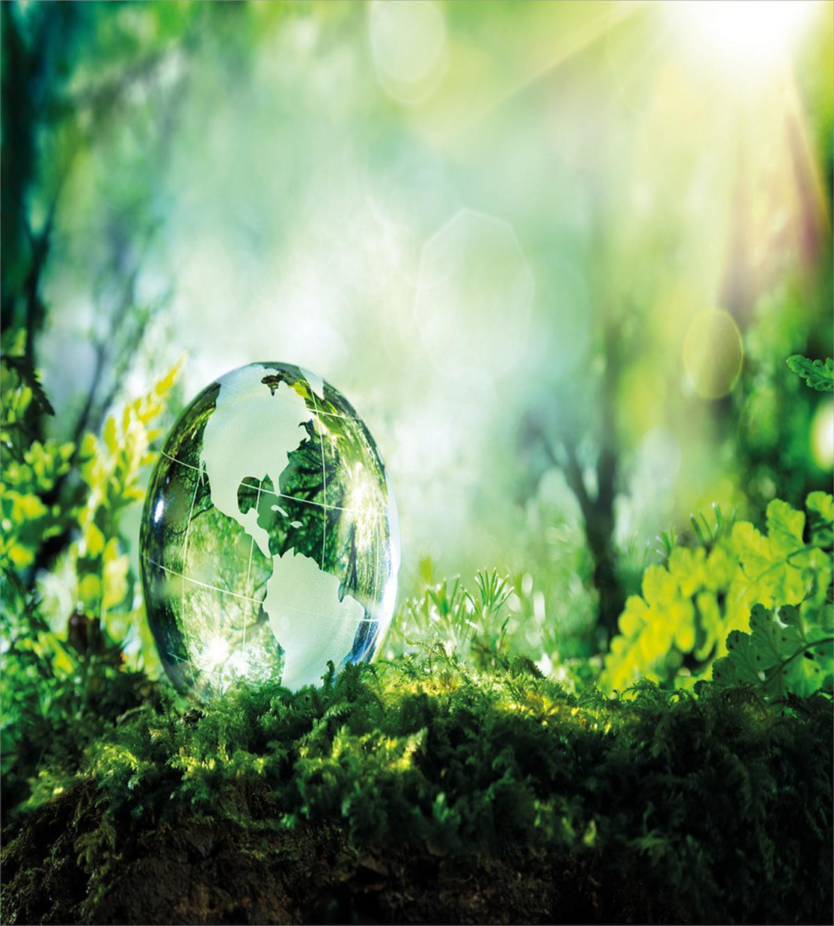 Globe in Fresh Forest — Pattern
