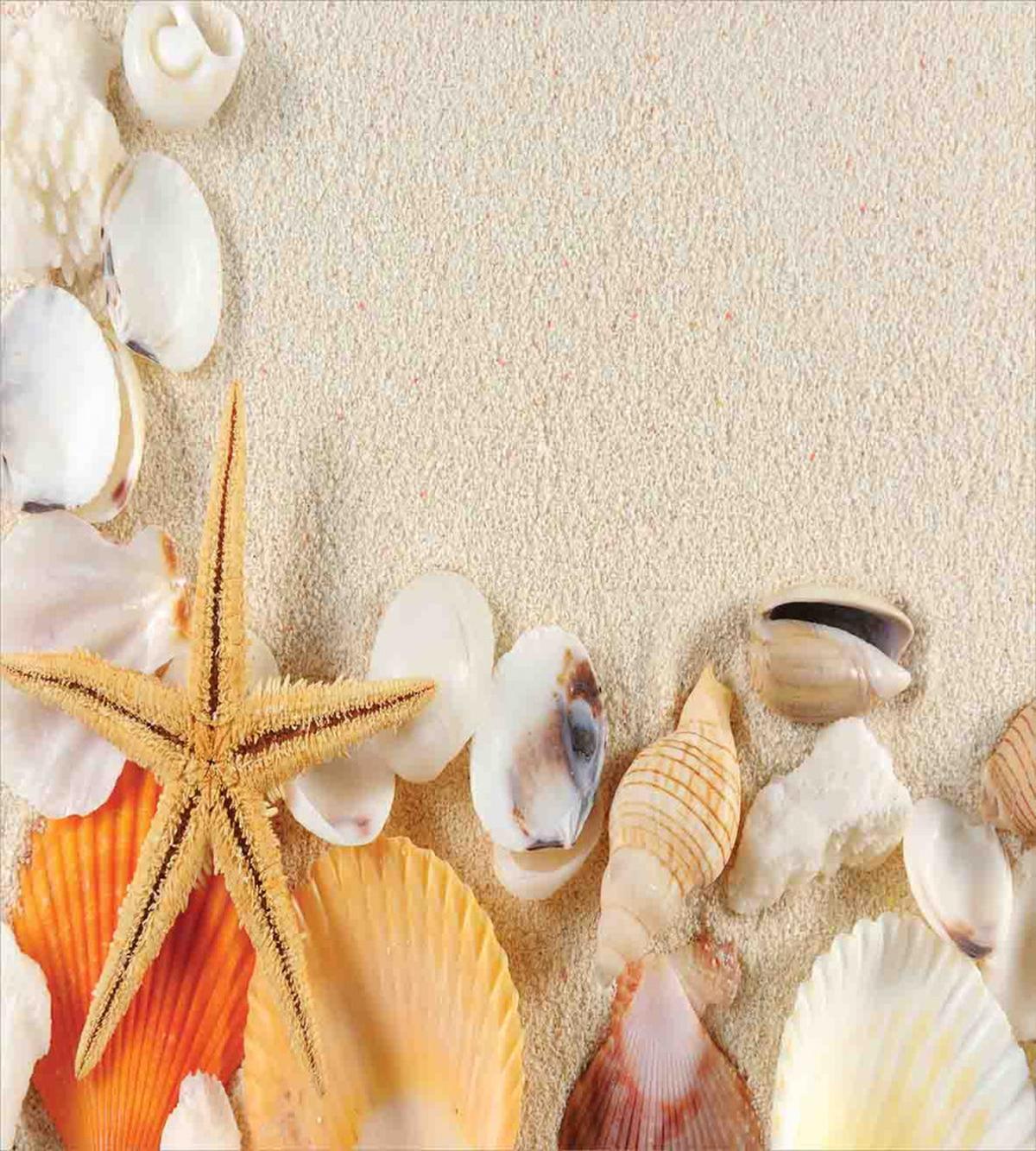 Seashells Starfish — Pattern