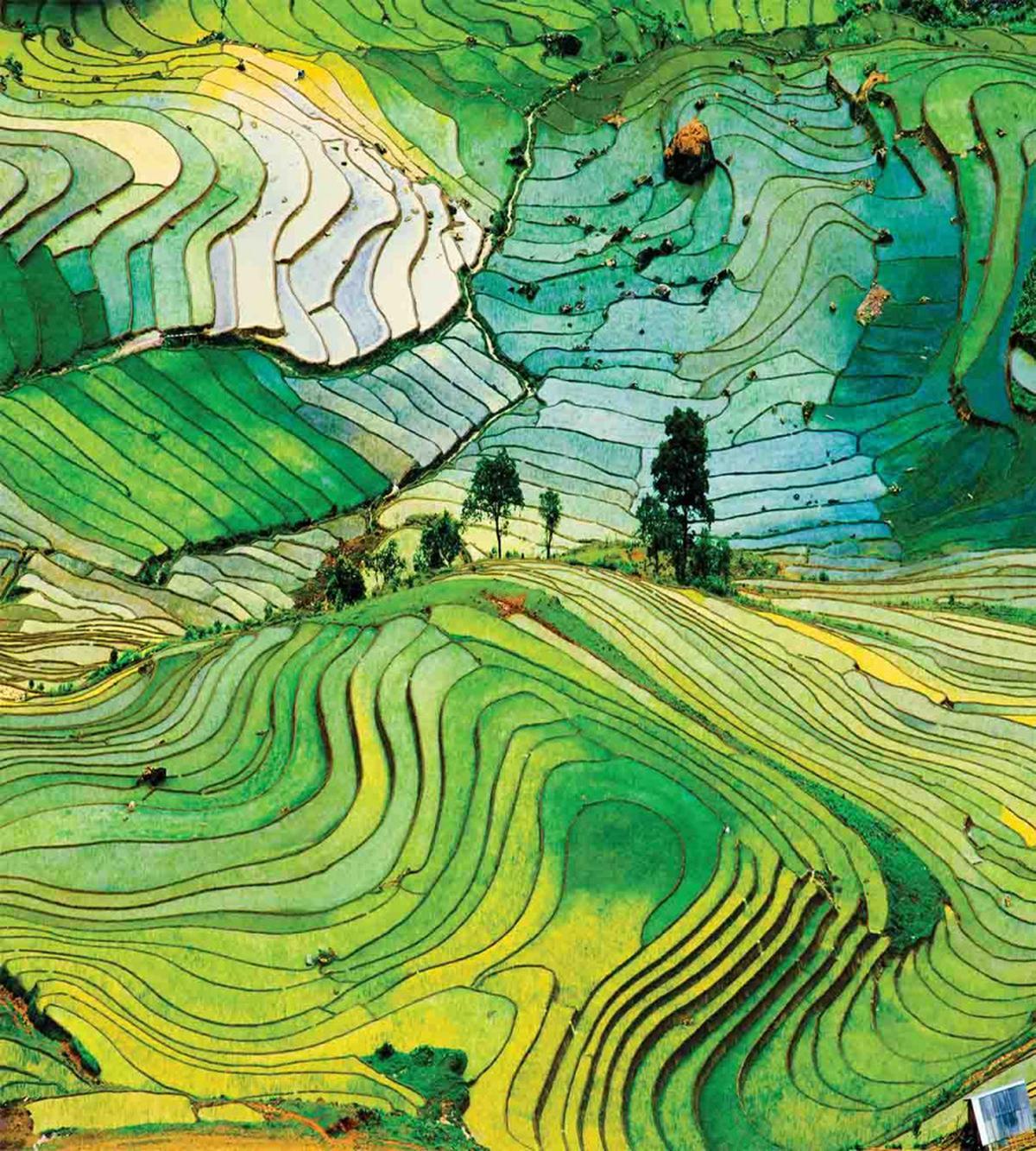 Aerial Scenery Nature — Pattern