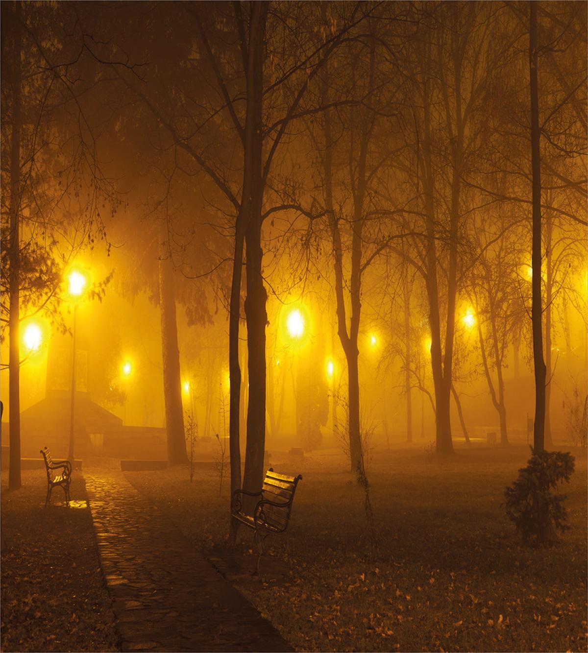 Foggy Evening in the Park — Pattern