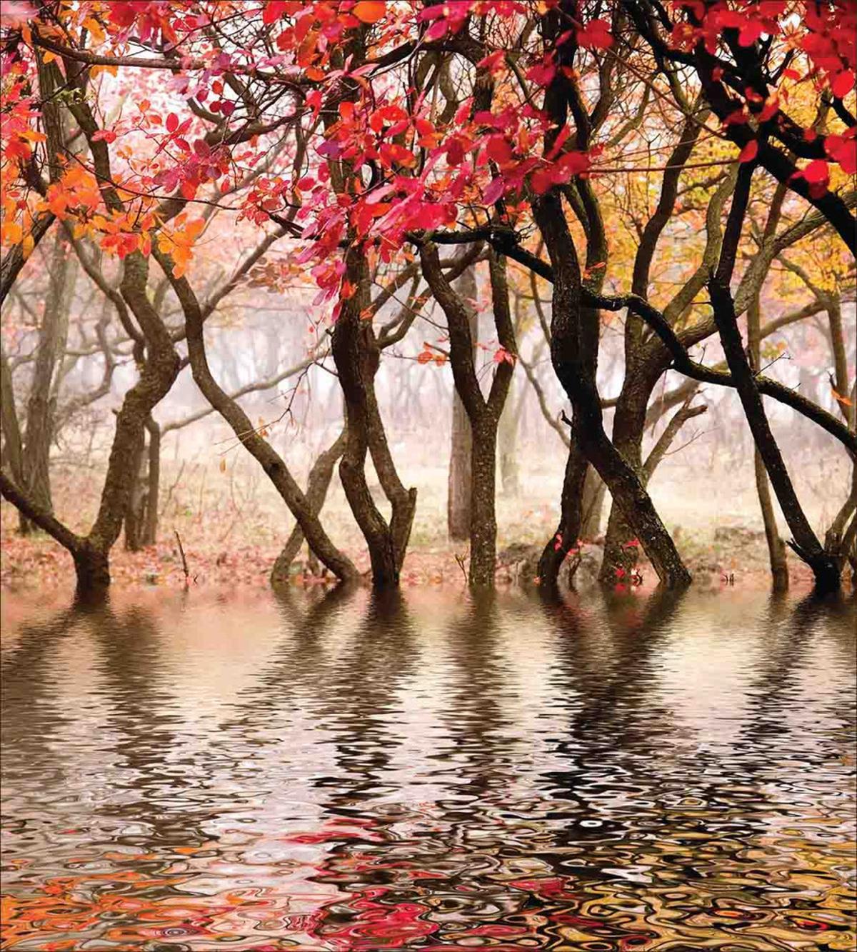 Fall Season River with Trees — Pattern