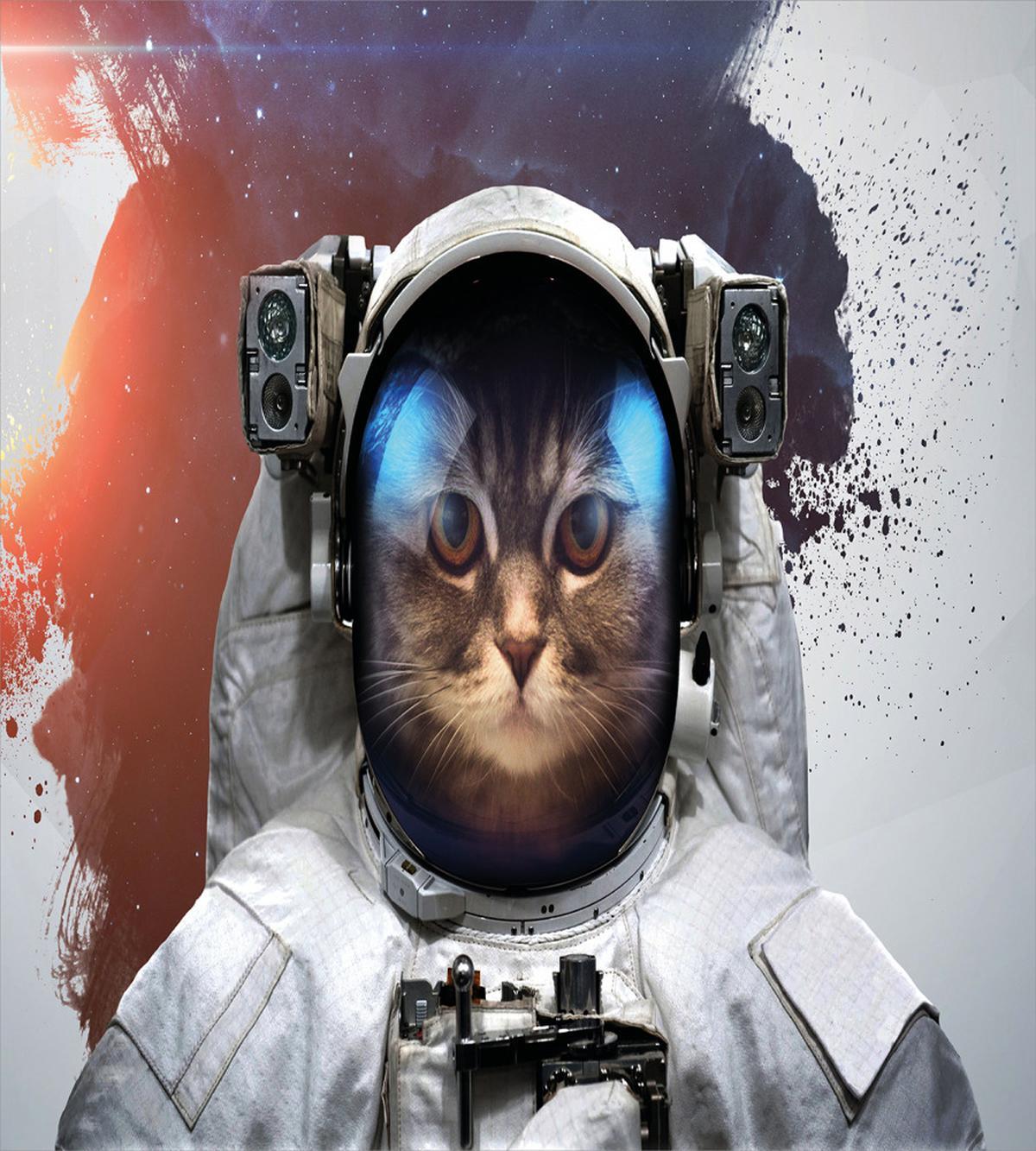 Grunge Cosmonaut Suit — Pattern