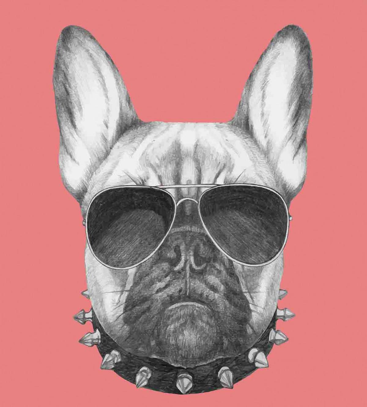 Dog Sketch Sunglasses — Pattern