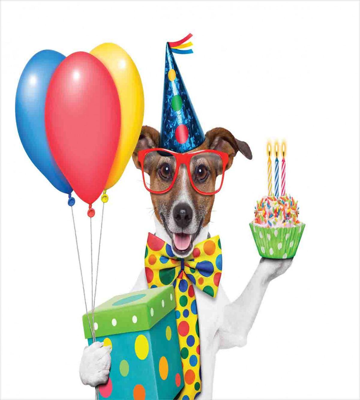 Party Dog and Balloons — Pattern