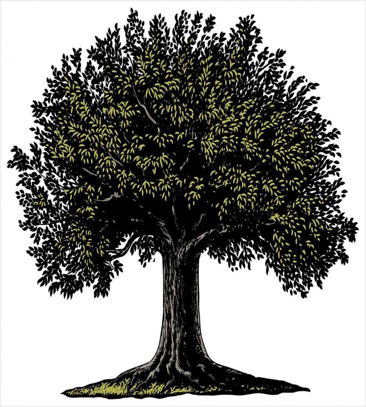 Digital Fruit Tree — Pattern