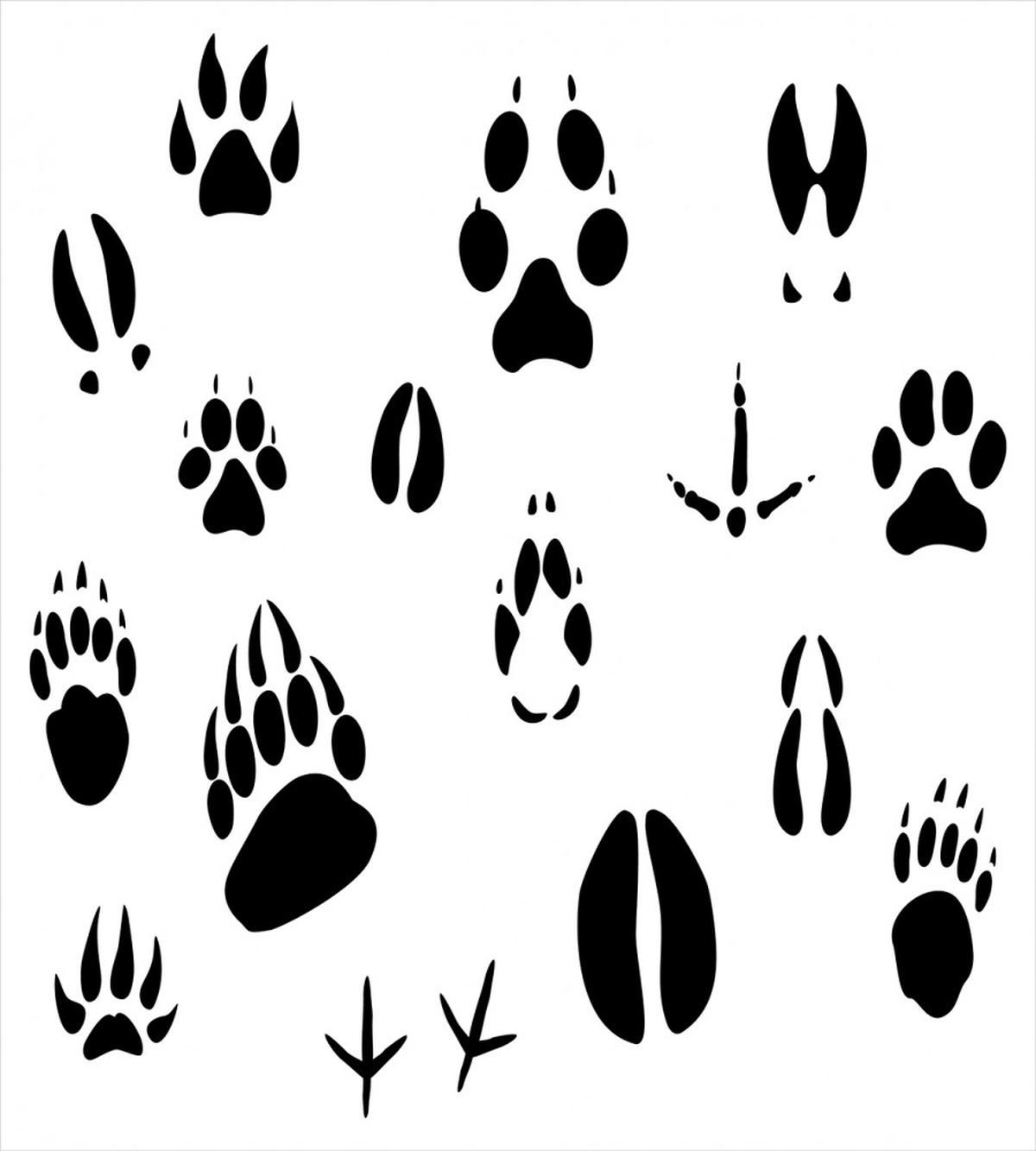 Wildlife Animal Footprints — Pattern
