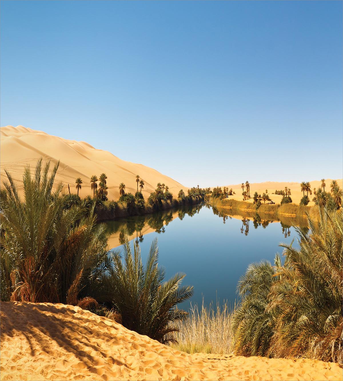 Idyllic Oasis Awbari — Pattern