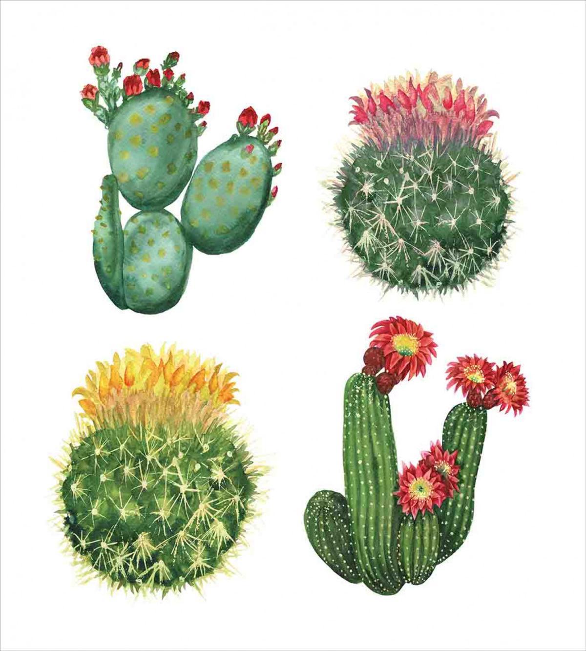 Watercolor Tropical Art — Pattern