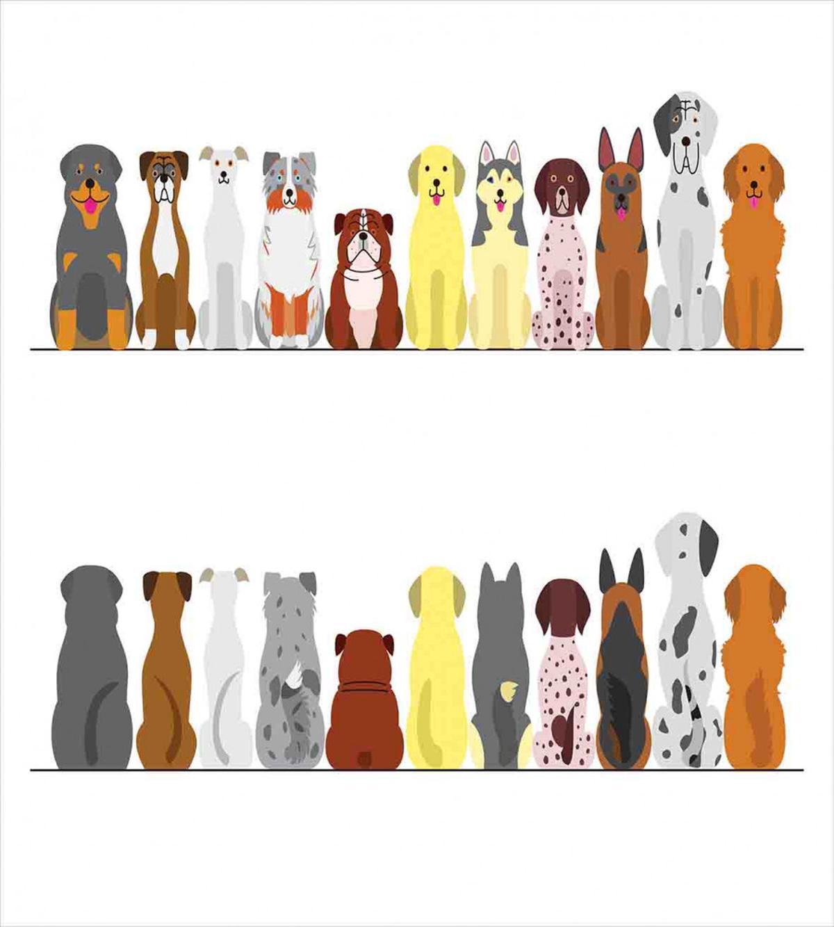 Simplistic Dog Animal — Pattern