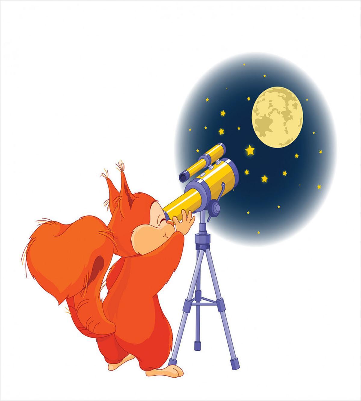 Animal with a Telescope — Pattern