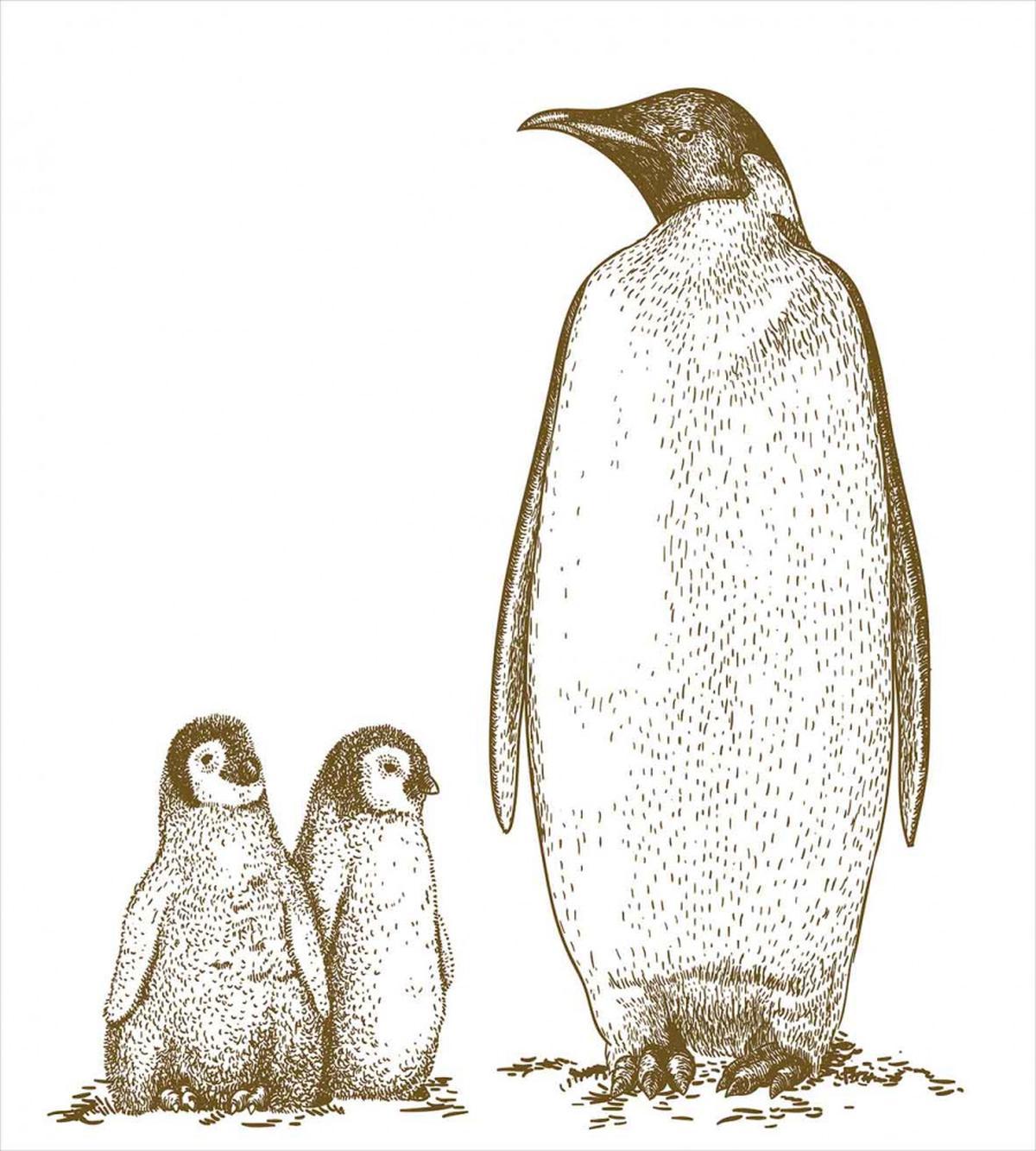 King and Baby Penguin — Pattern