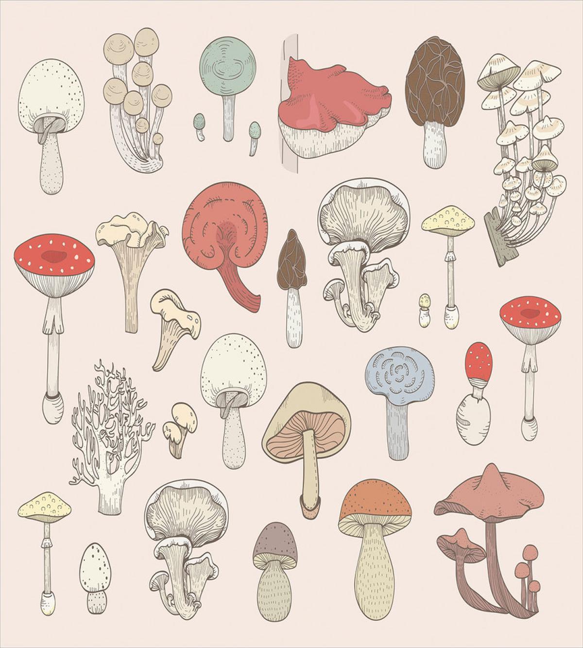 Pastel Various Mushrooms — Pattern