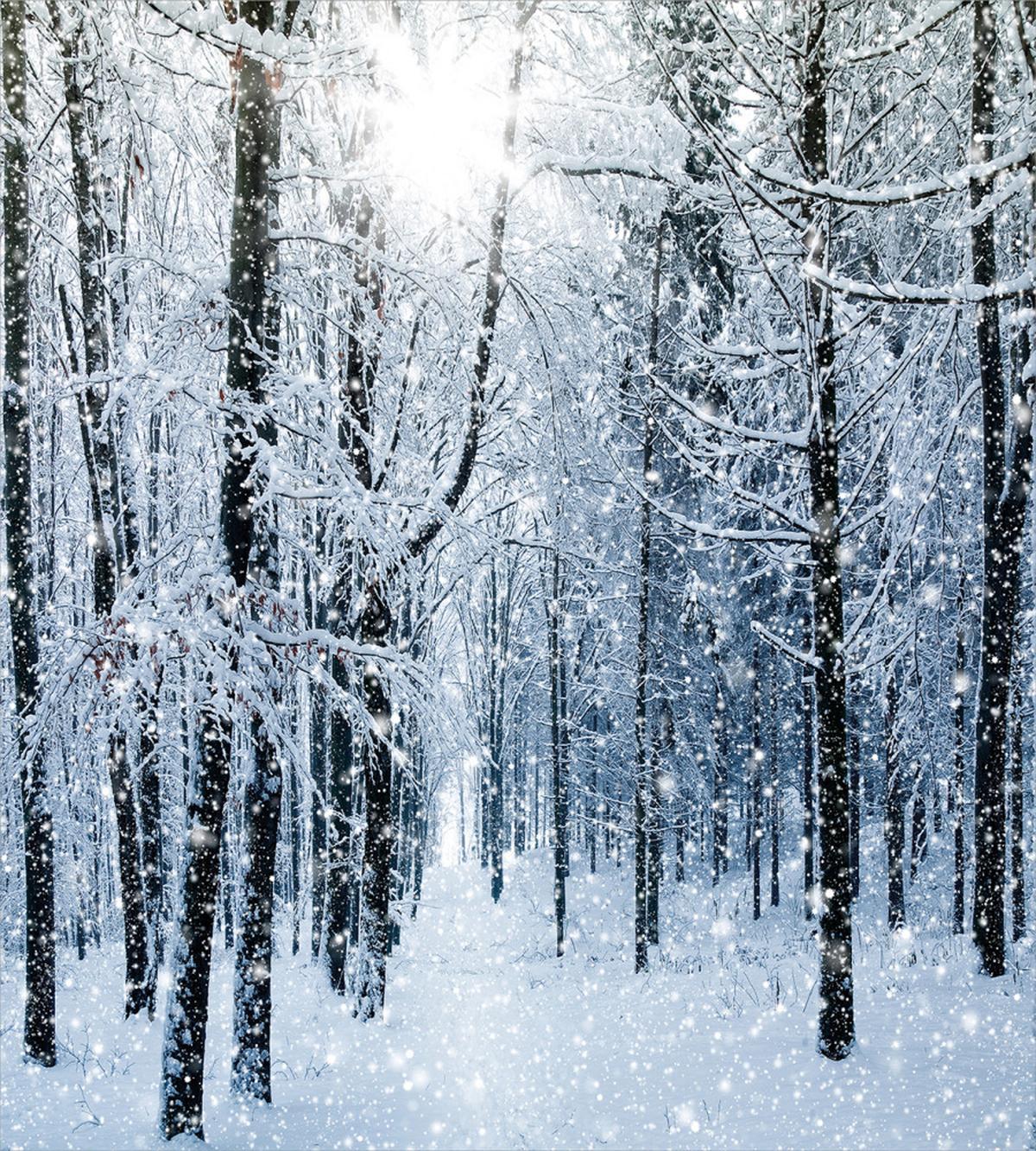 Forest Barren Jungle — Pattern