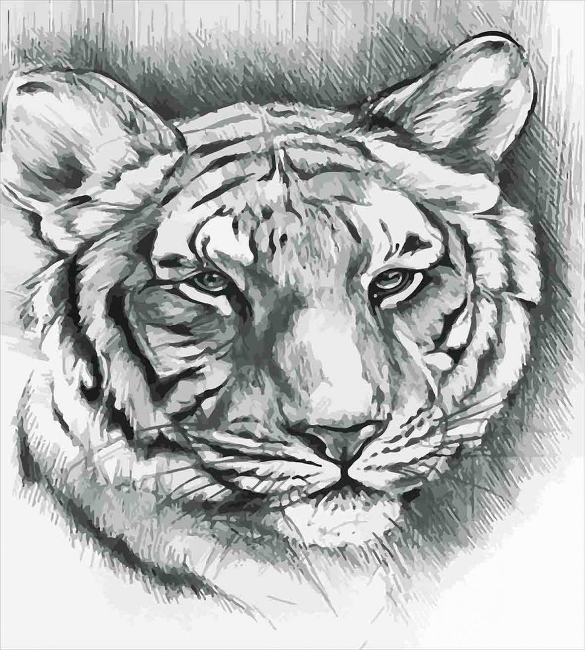 Grey Lion Head — Pattern