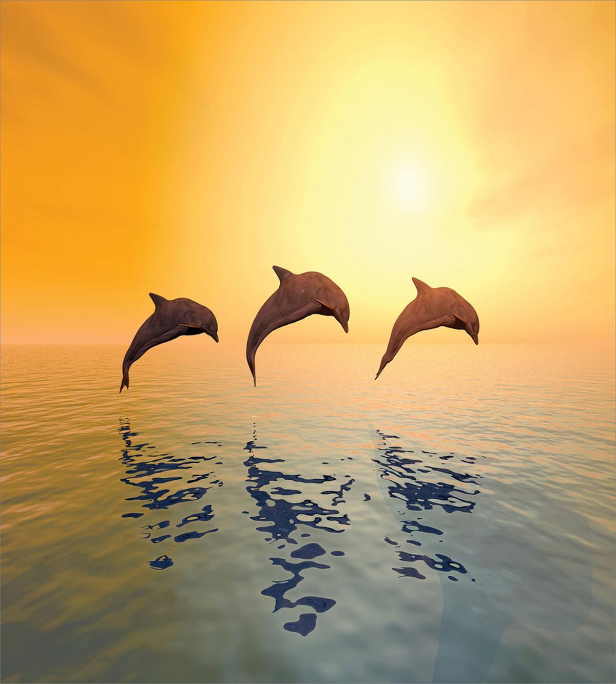 Jumping Fish on Sea Sunset — Pattern