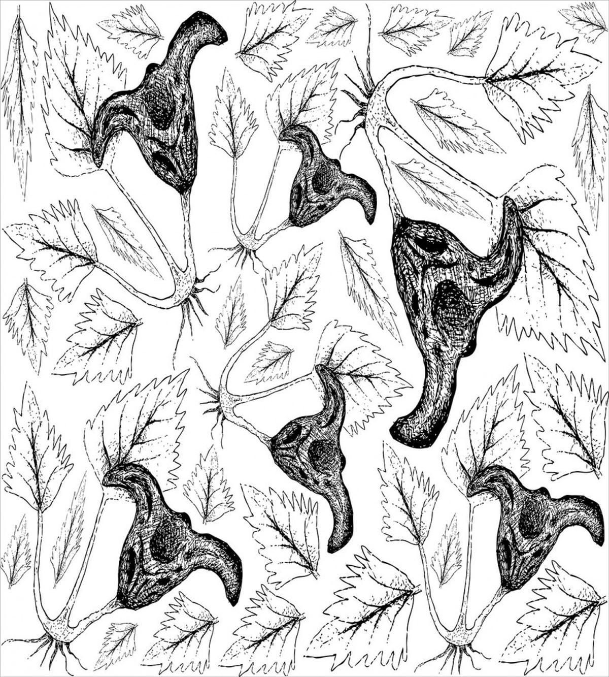 Leaves and Water Caltrop — Pattern