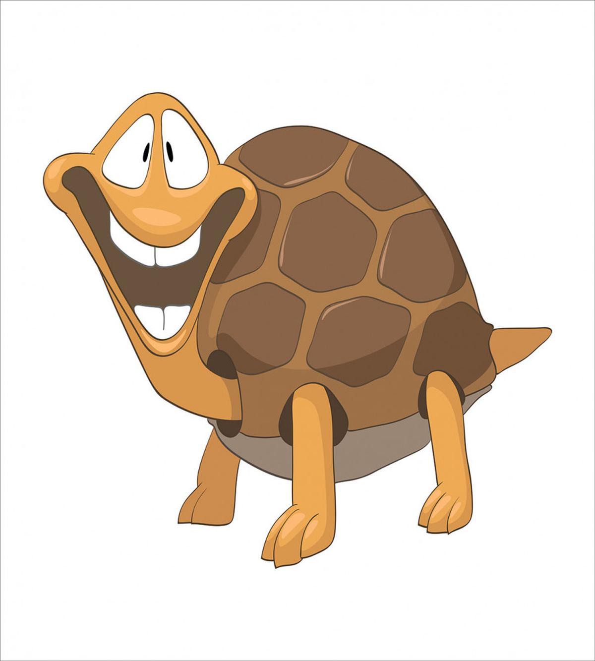 Single Happy Turtle Design — Pattern