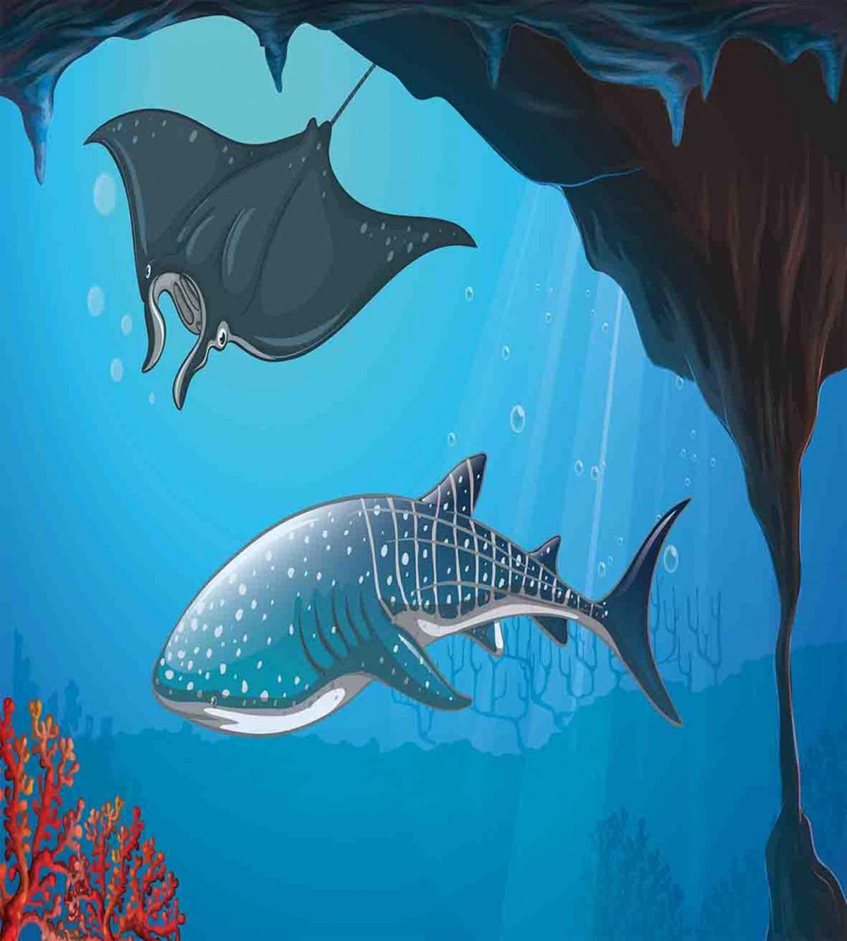 Swimming Shark Ocean — Pattern