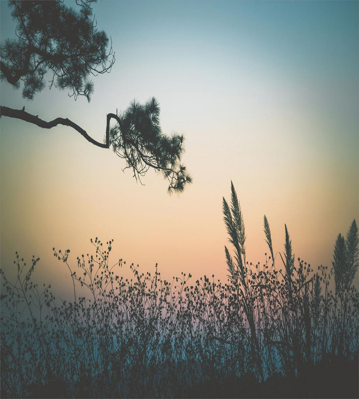 Thailand Phurue Sunset — Pattern