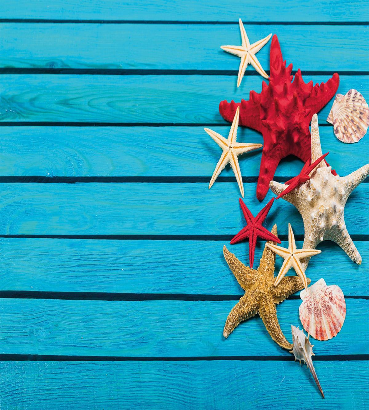 Different Shells — Pattern