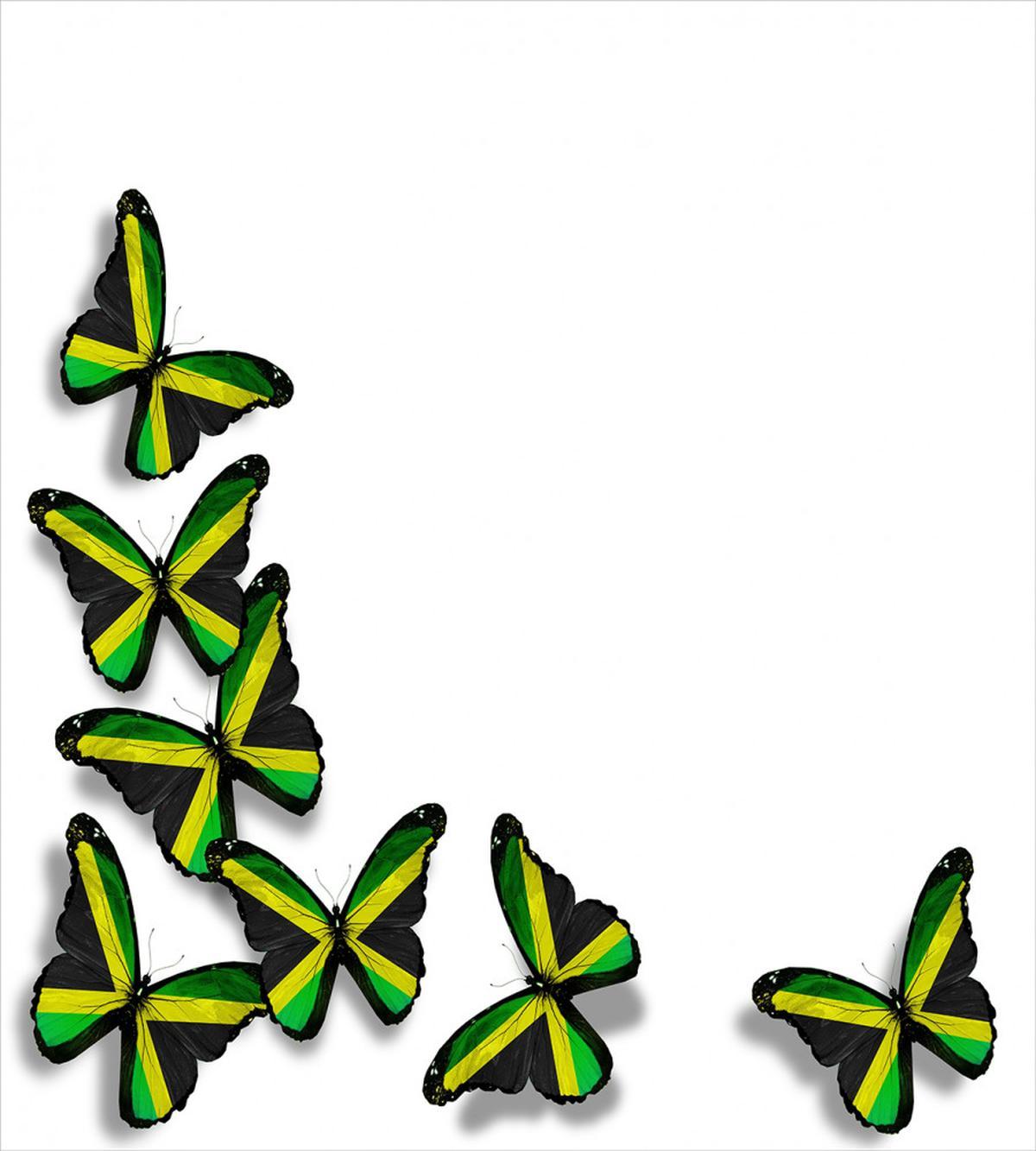 Butterflies with Flag — Pattern