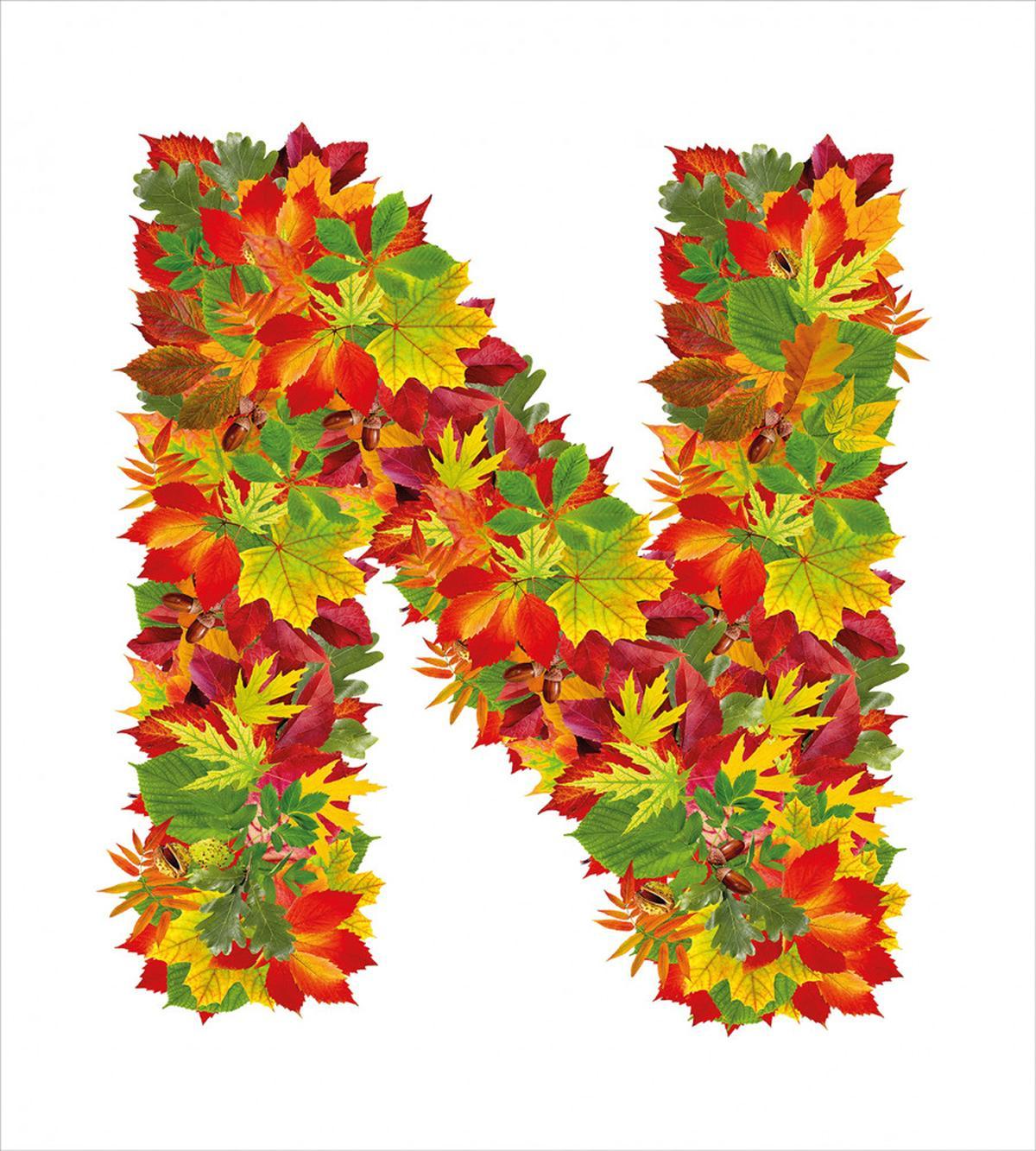 Fall Maple Tree Leaves — Pattern