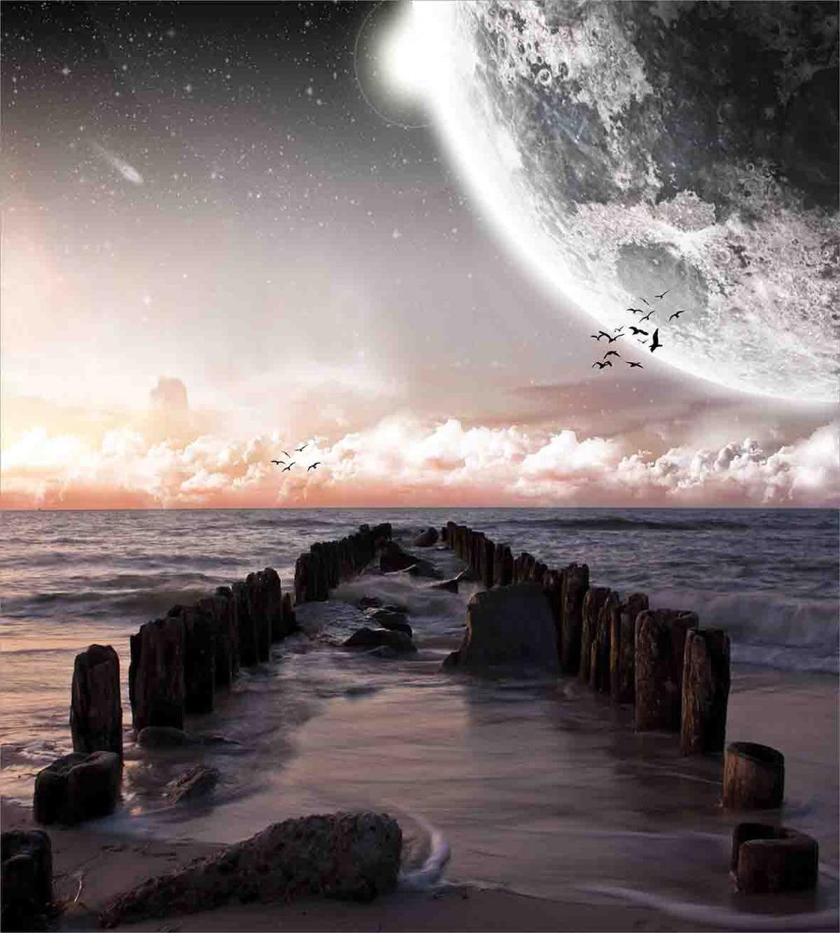 Old Pier Sea and Beach — Pattern